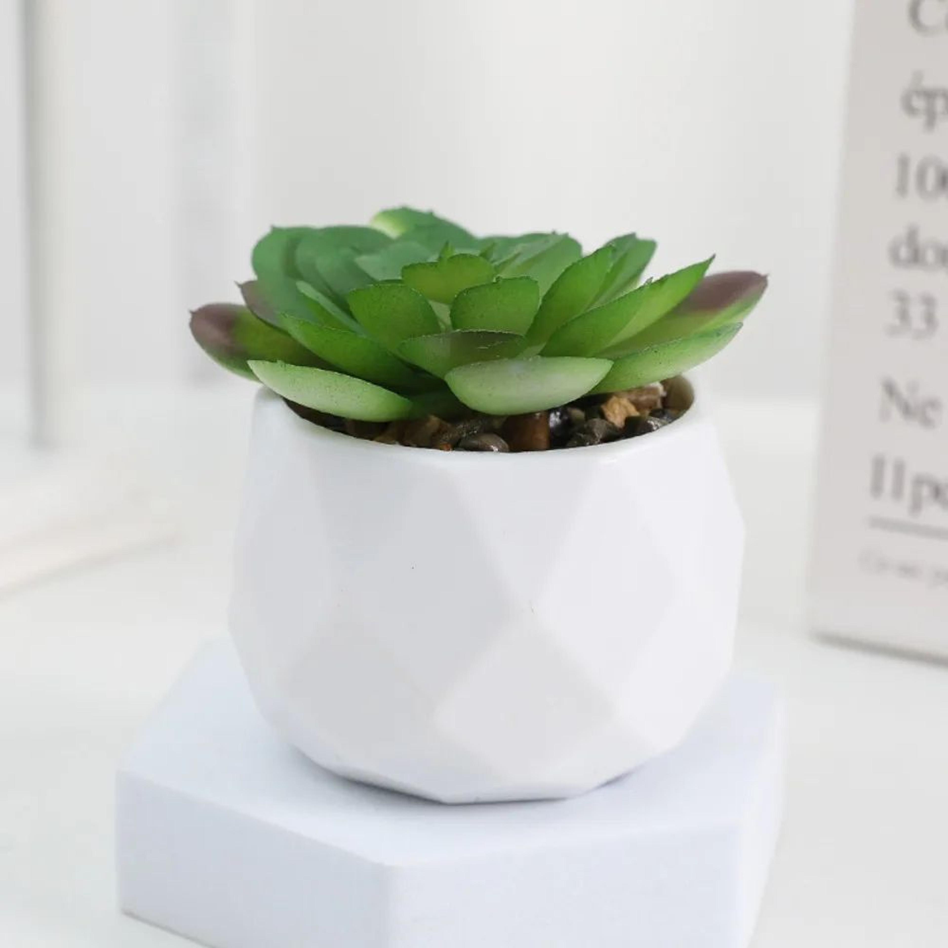 Mini Artificial Succulent Bonsai Plant Realistic Faux Cactus Decor For Desk And Home 3