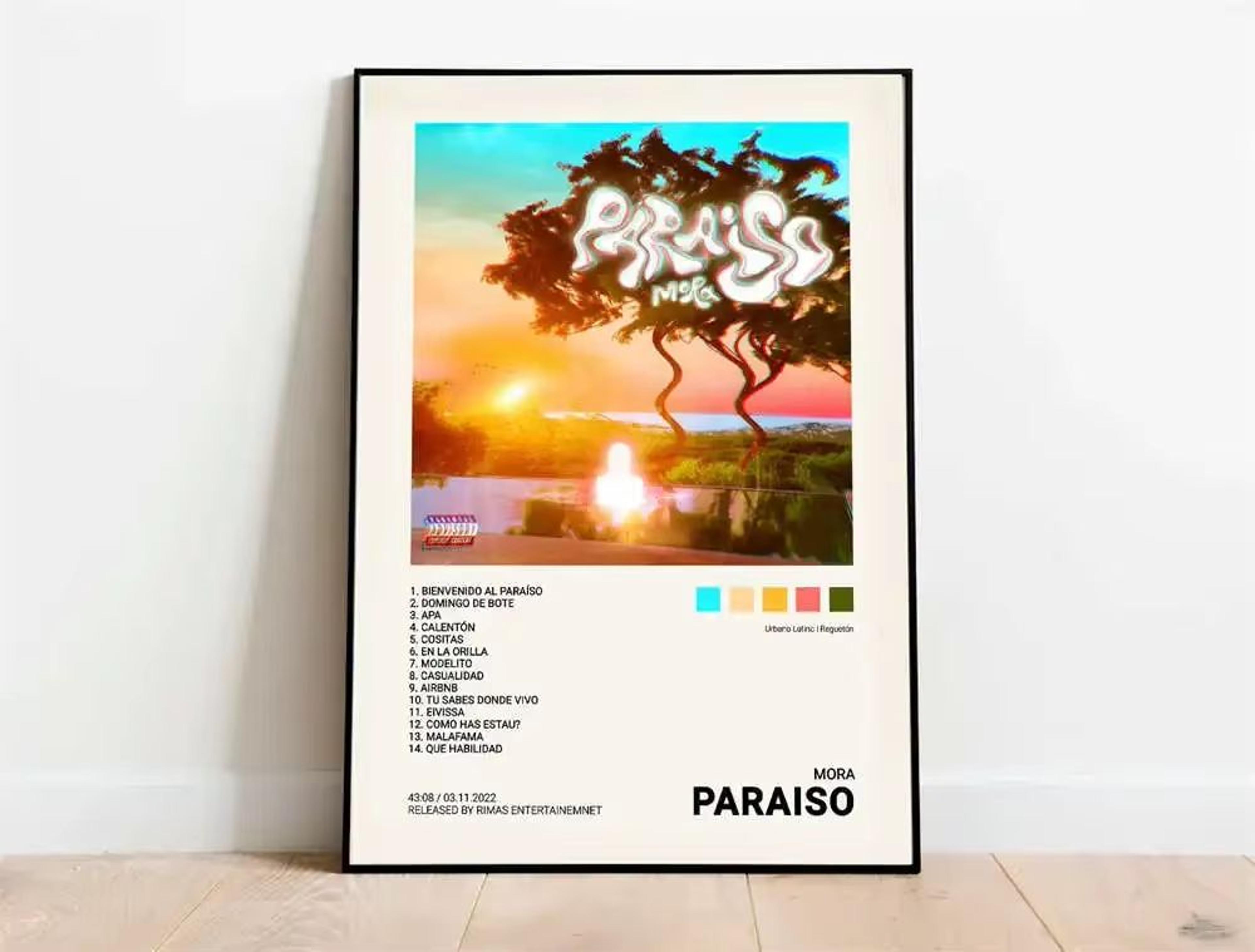 Latin Rapper Album Cover Canvas Poster Wall Art For Aesthetic Room Decor 15
