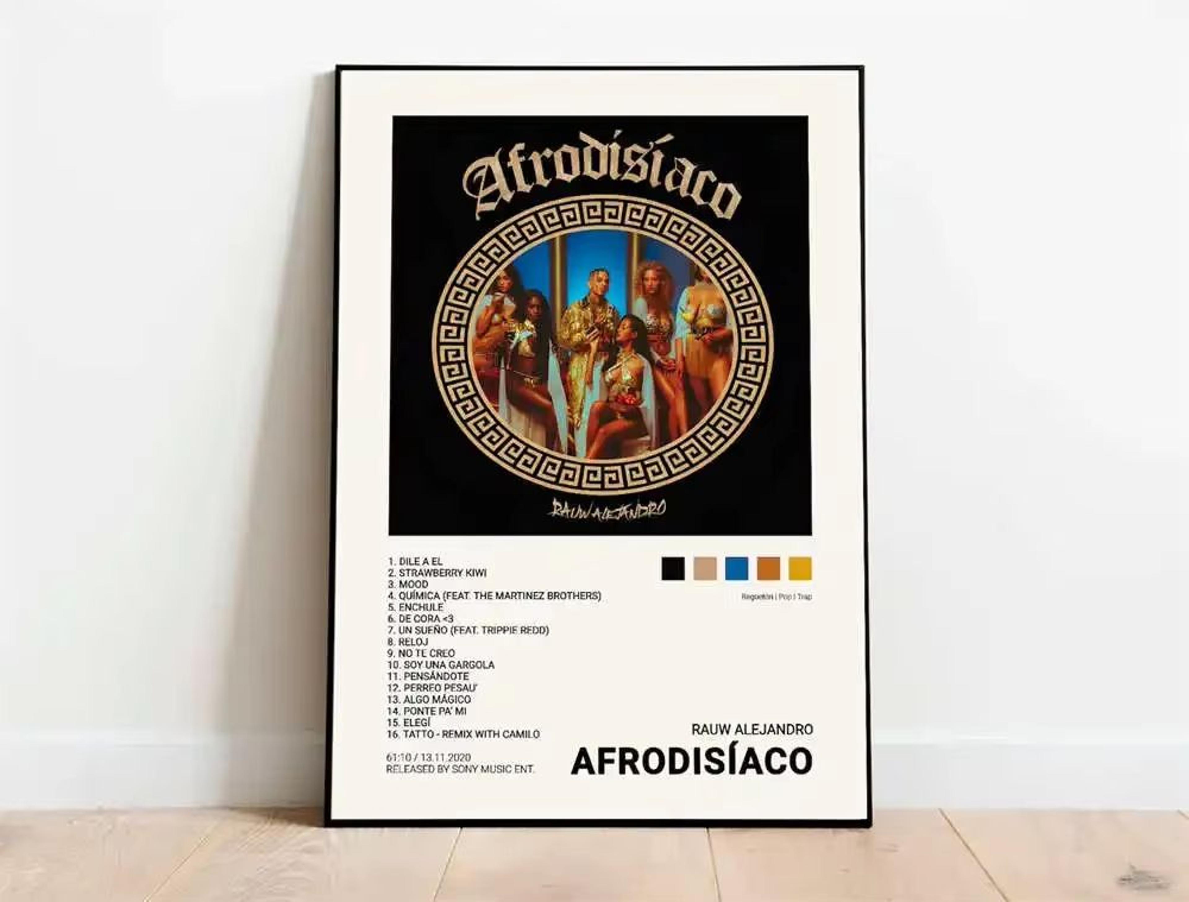 Latin Rapper Album Cover Canvas Poster Wall Art For Aesthetic Room Decor 18
