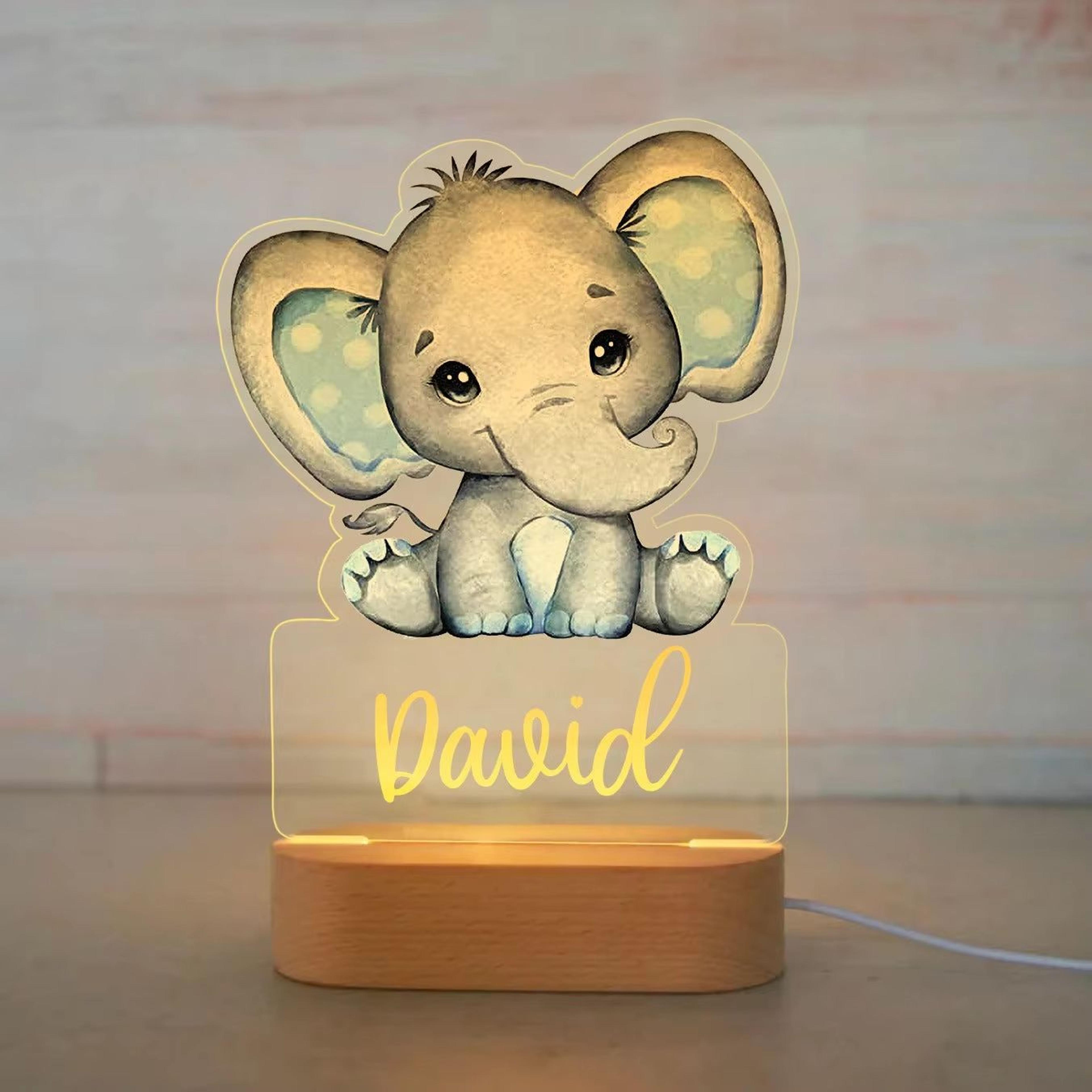 Personalized Animal Name Night Light Acrylic LED Lamp For Kids Bedroom 7