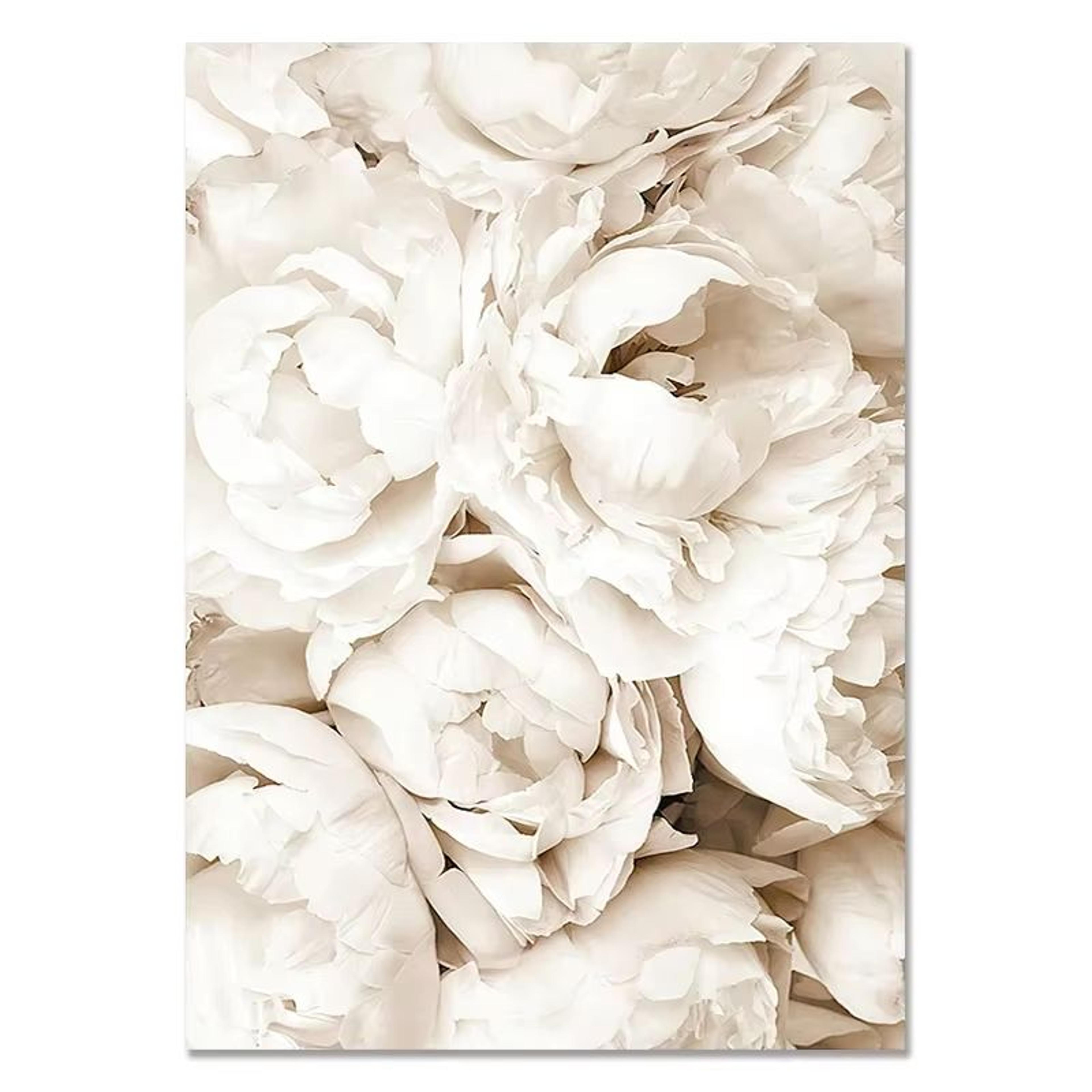 Nordic White Shell Beach Dandelion Canvas Wall Art Minimalist Living Room Decor 9