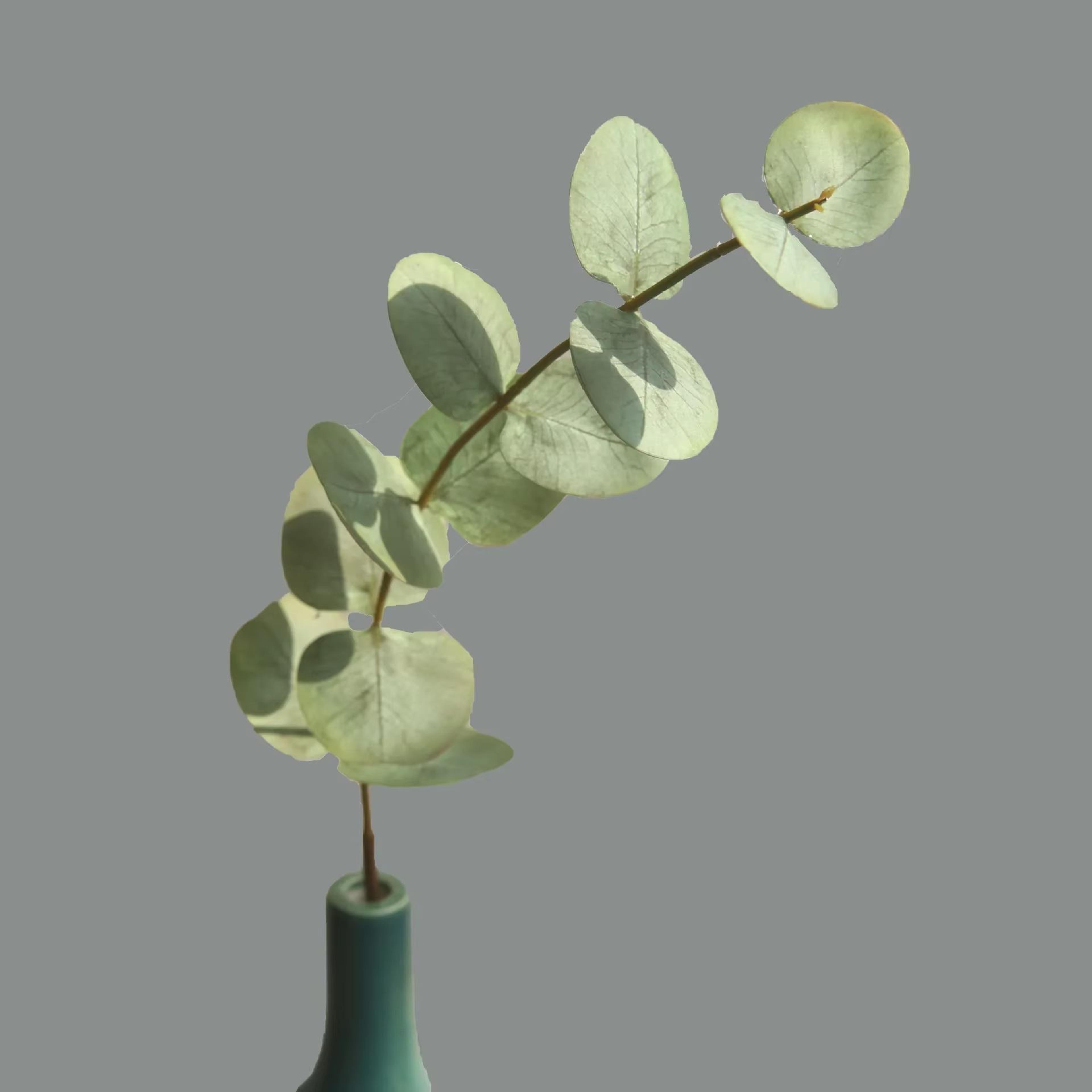 Real Touch Artificial Eucalyptus Leaves Bundle For Wedding And Home Decor 10pcs 5