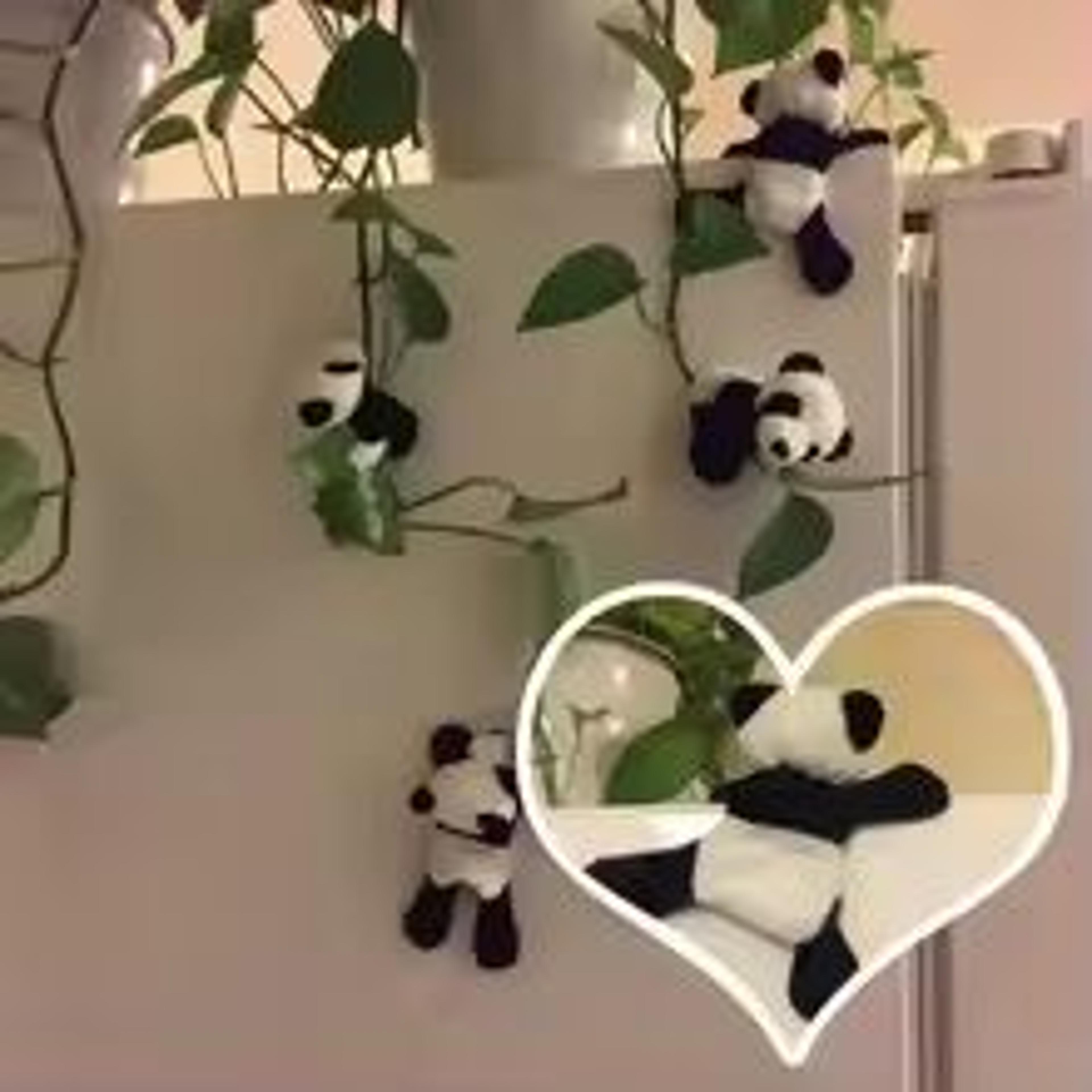 Cute Cartoon Panda Figurines Set For Desk Decor And Collectible Display 3