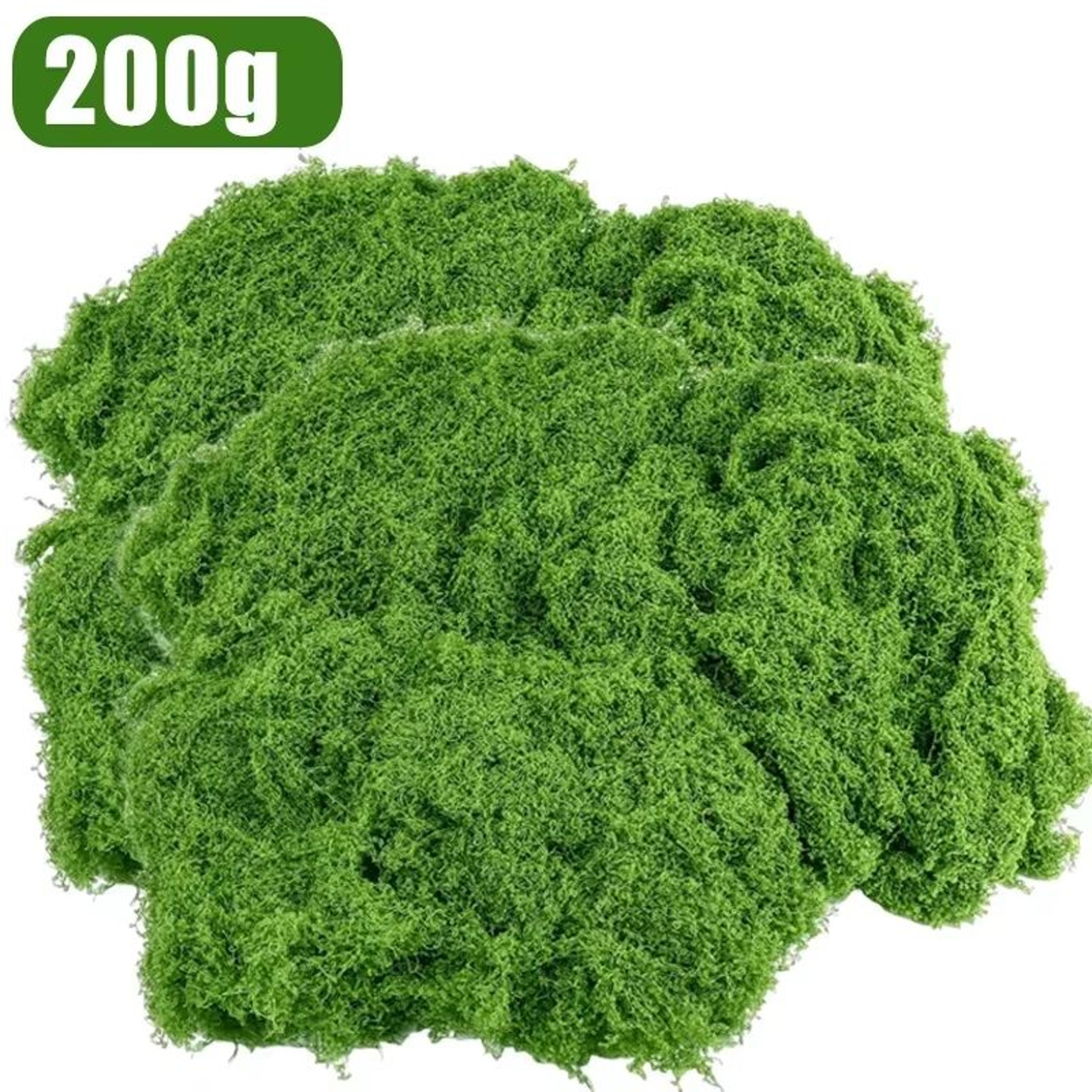 Artificial Moss Grass For DIY Crafts And Mini Landscape Decor 106oz  1764oz Options 6