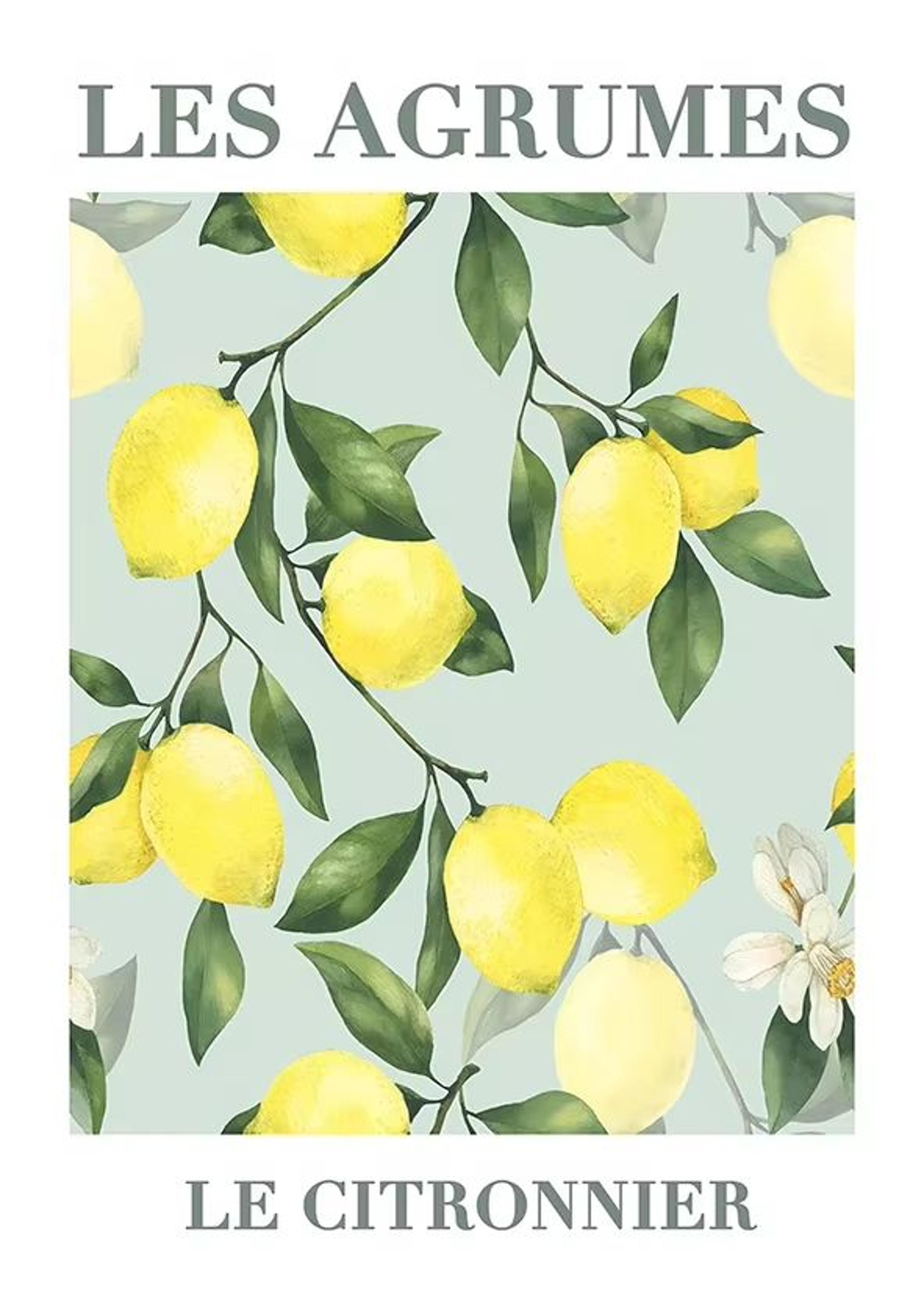 Retro Lemon Garden Canvas Wall Art Print For Summer Home Decor And Modern Living Spaces 6