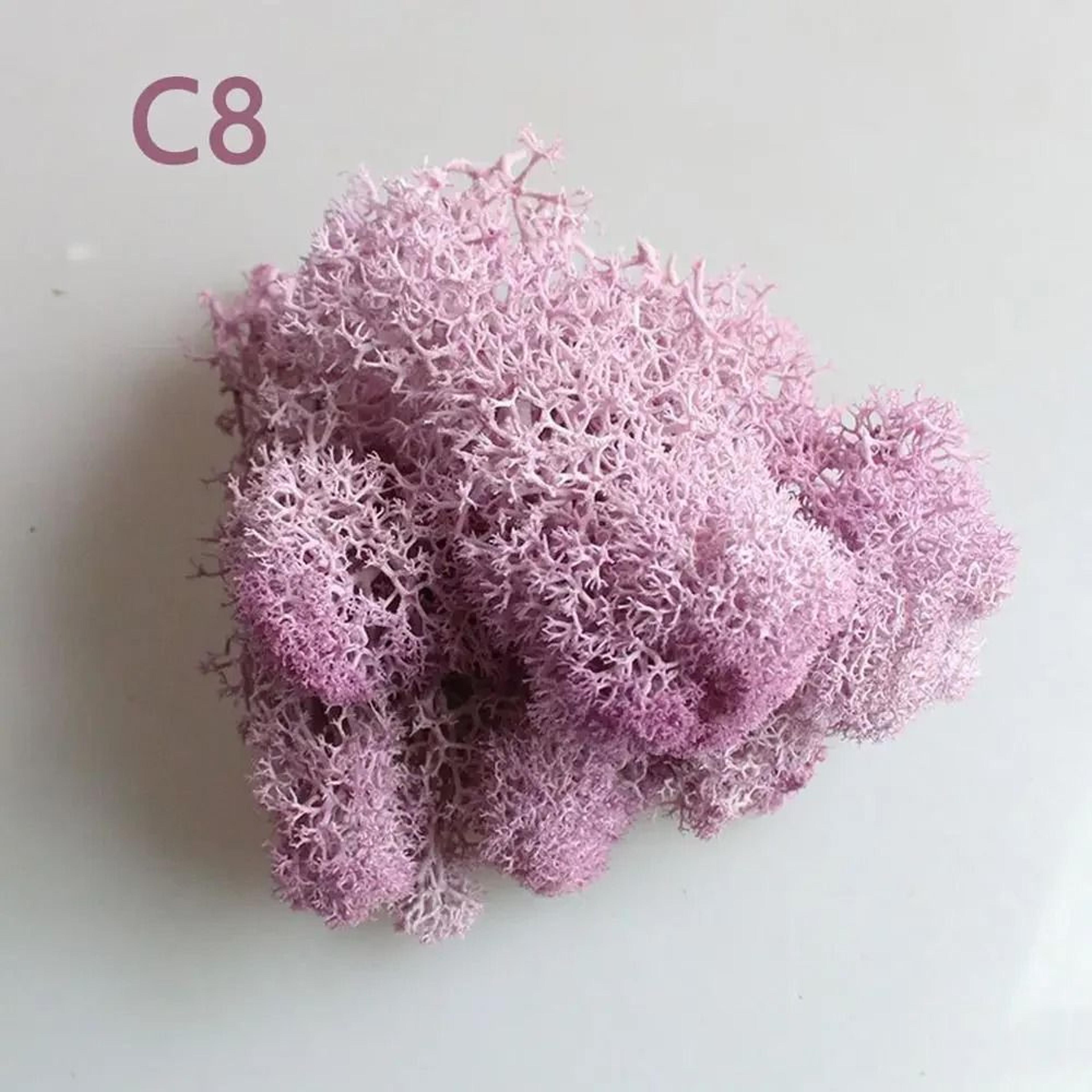 Artificial Moss Wall Decor Eternal Life DIY Micro Landscape Craft Material 14