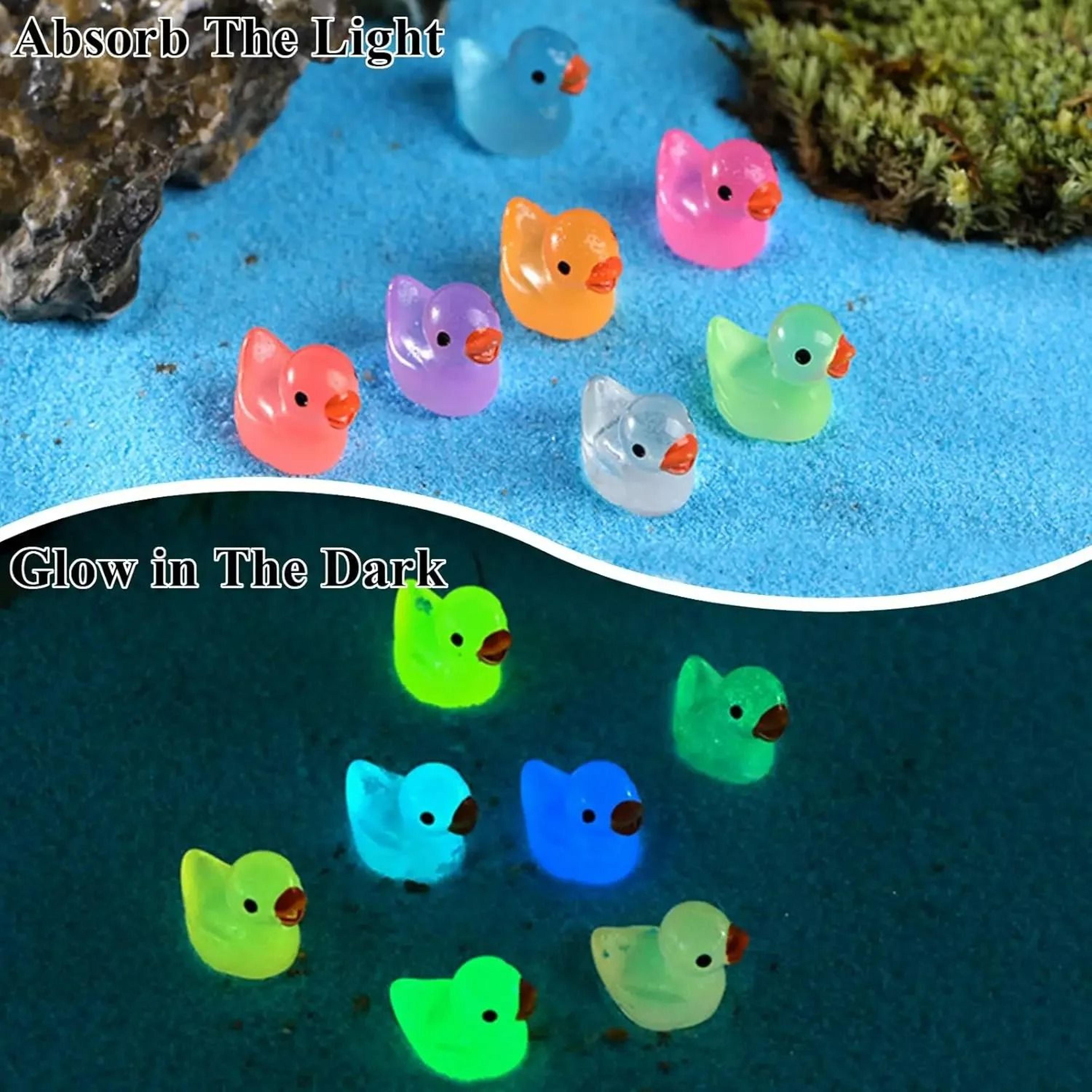 Glow In The Dark Mini Resin Ducks Fairy Garden Micro Landscape Decor Set 3