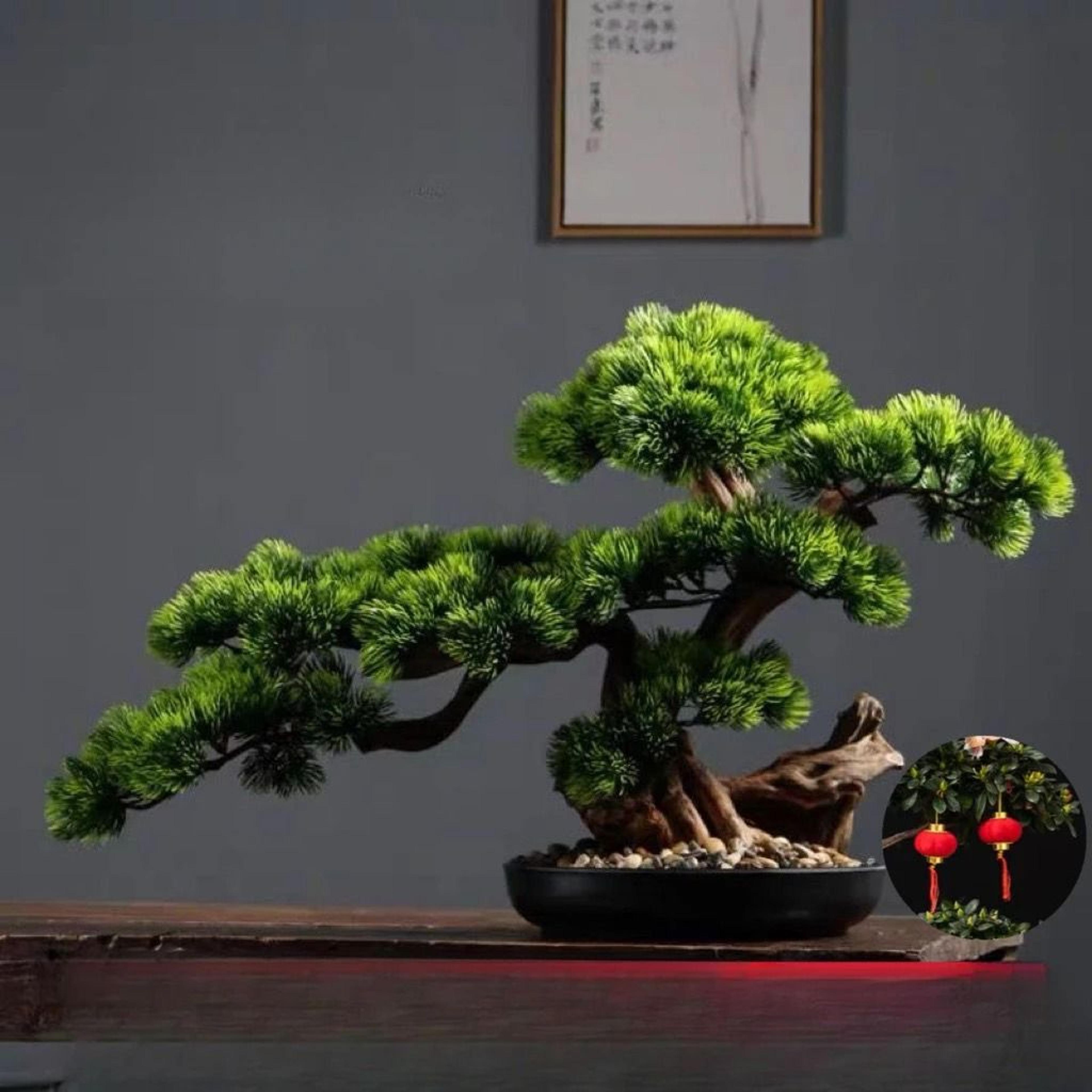 ZenInspired Artificial Pine Bonsai Tree For Desk And Home Decor 0