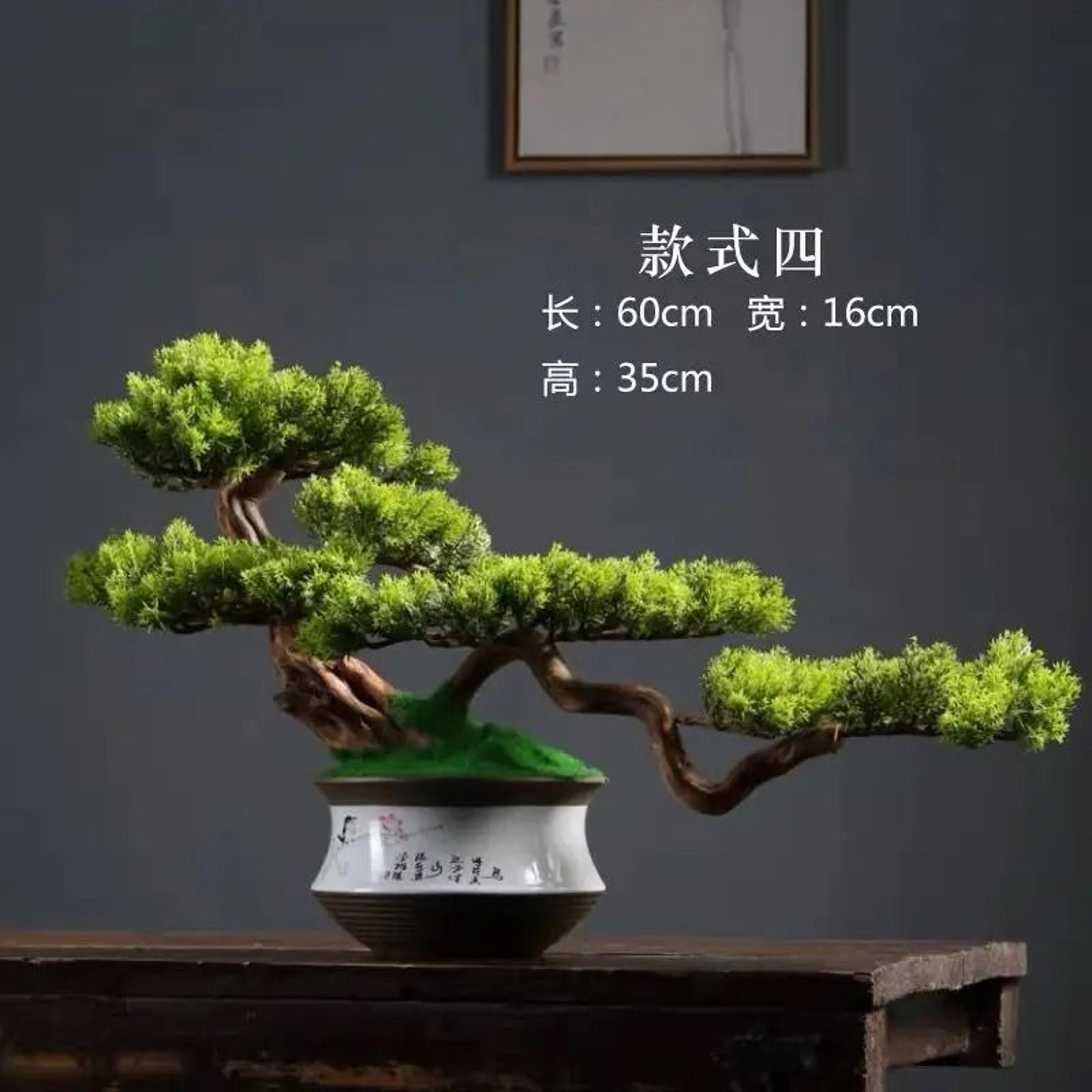 ZenInspired Artificial Pine Bonsai Tree For Desk And Home Decor 3