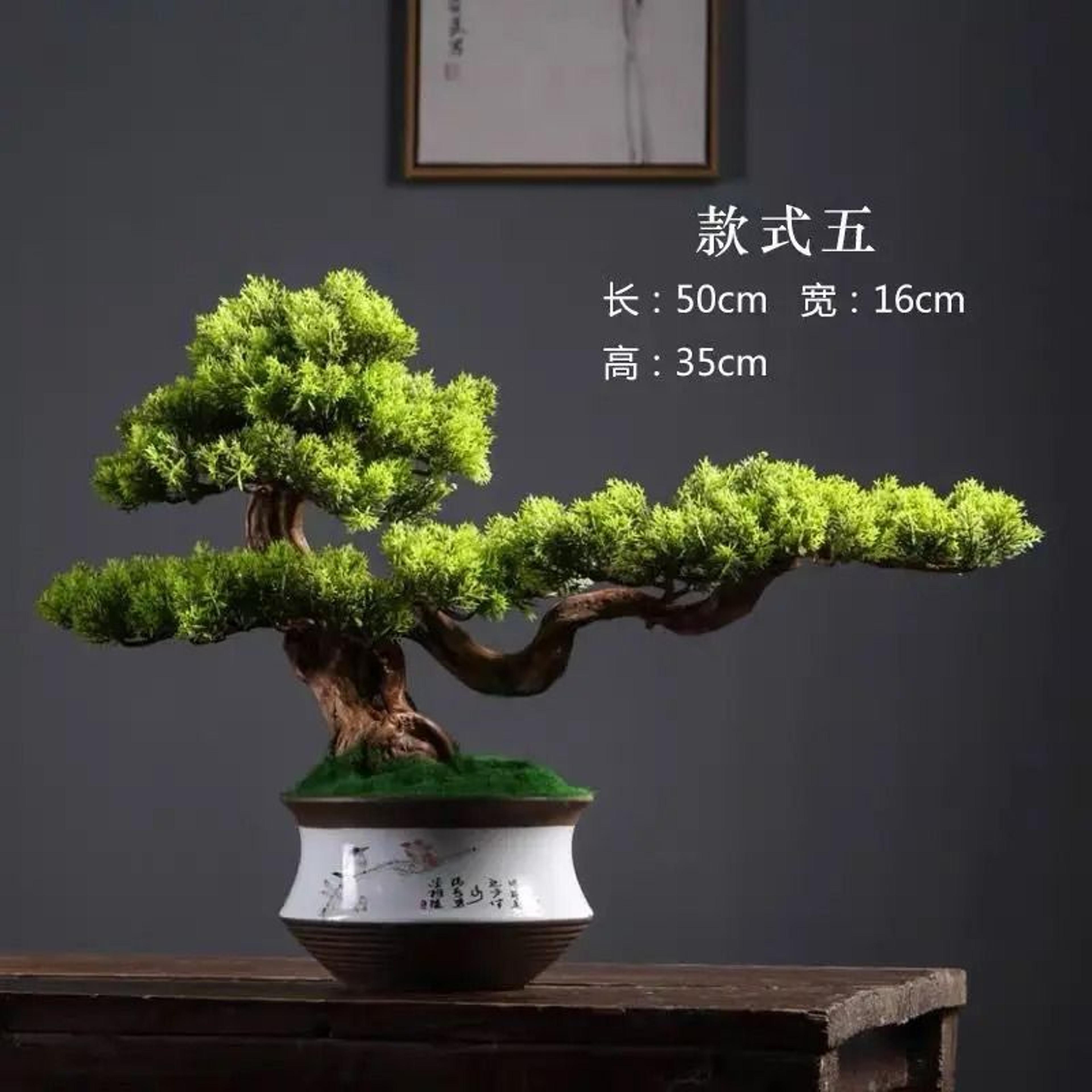 ZenInspired Artificial Pine Bonsai Tree For Desk And Home Decor 4