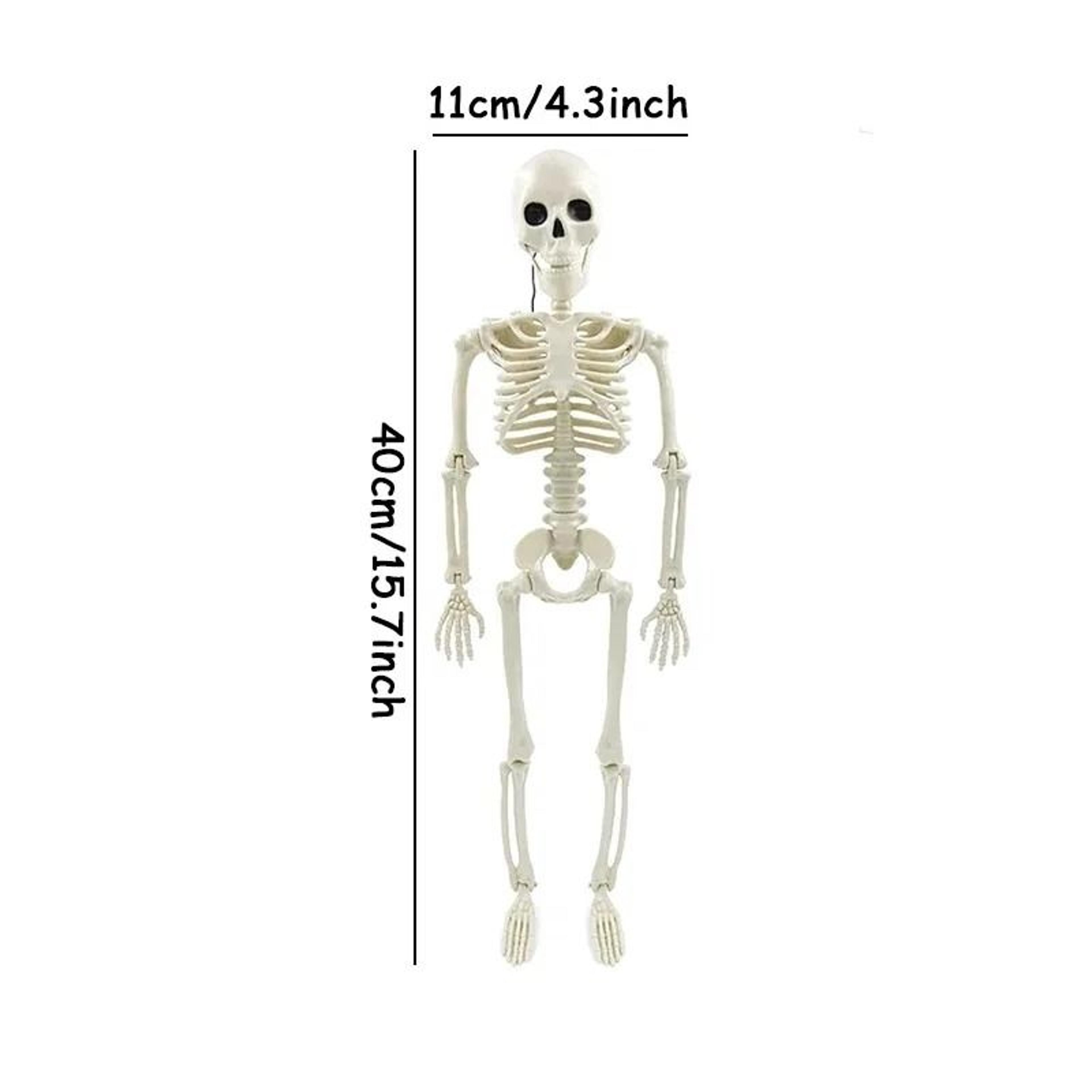 Poseable Halloween Skeleton Decor Realistic Humanoid Prop For Haunted House Party Setup 1