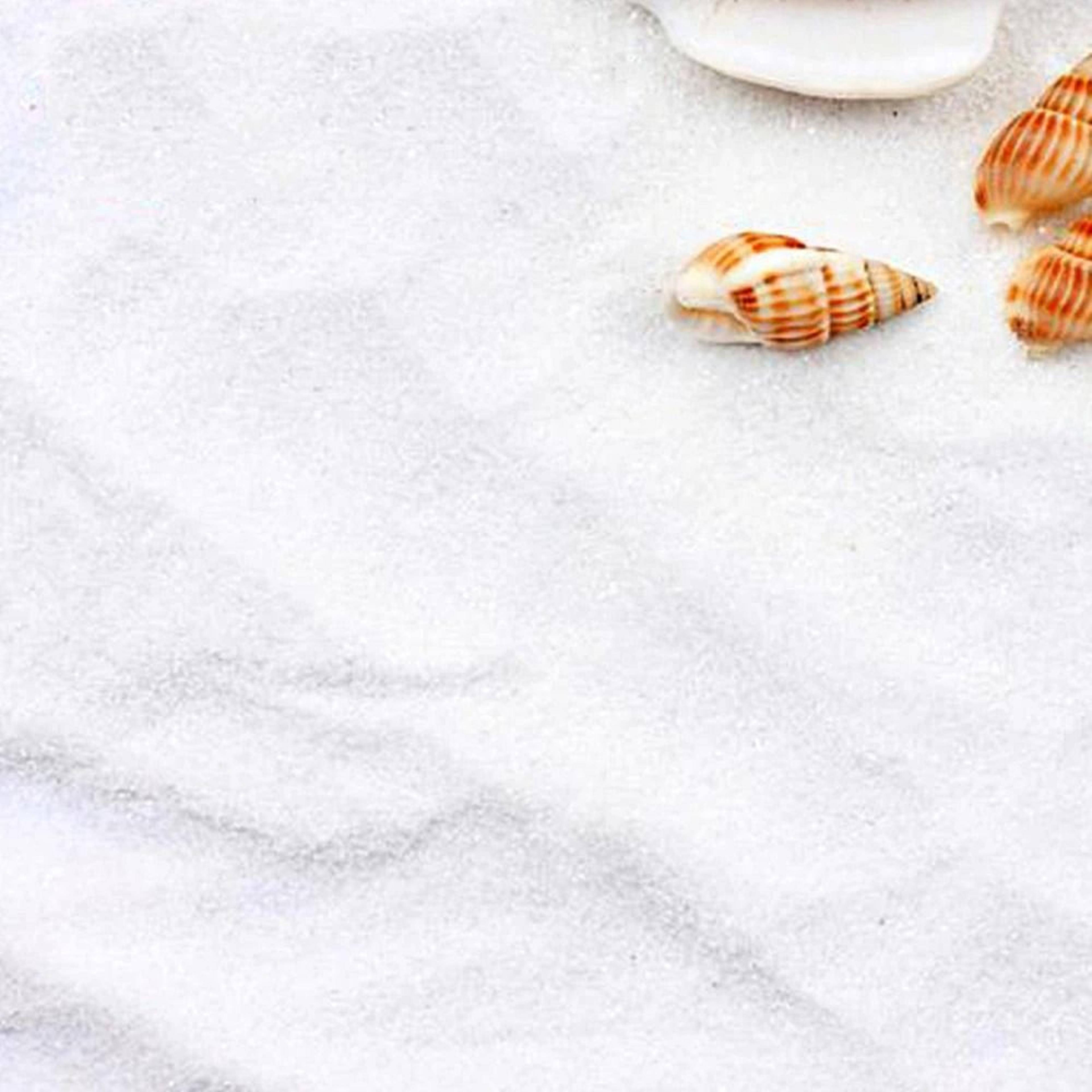 miniature white decorative sand for aquarium, zen garden & diy landscaping
