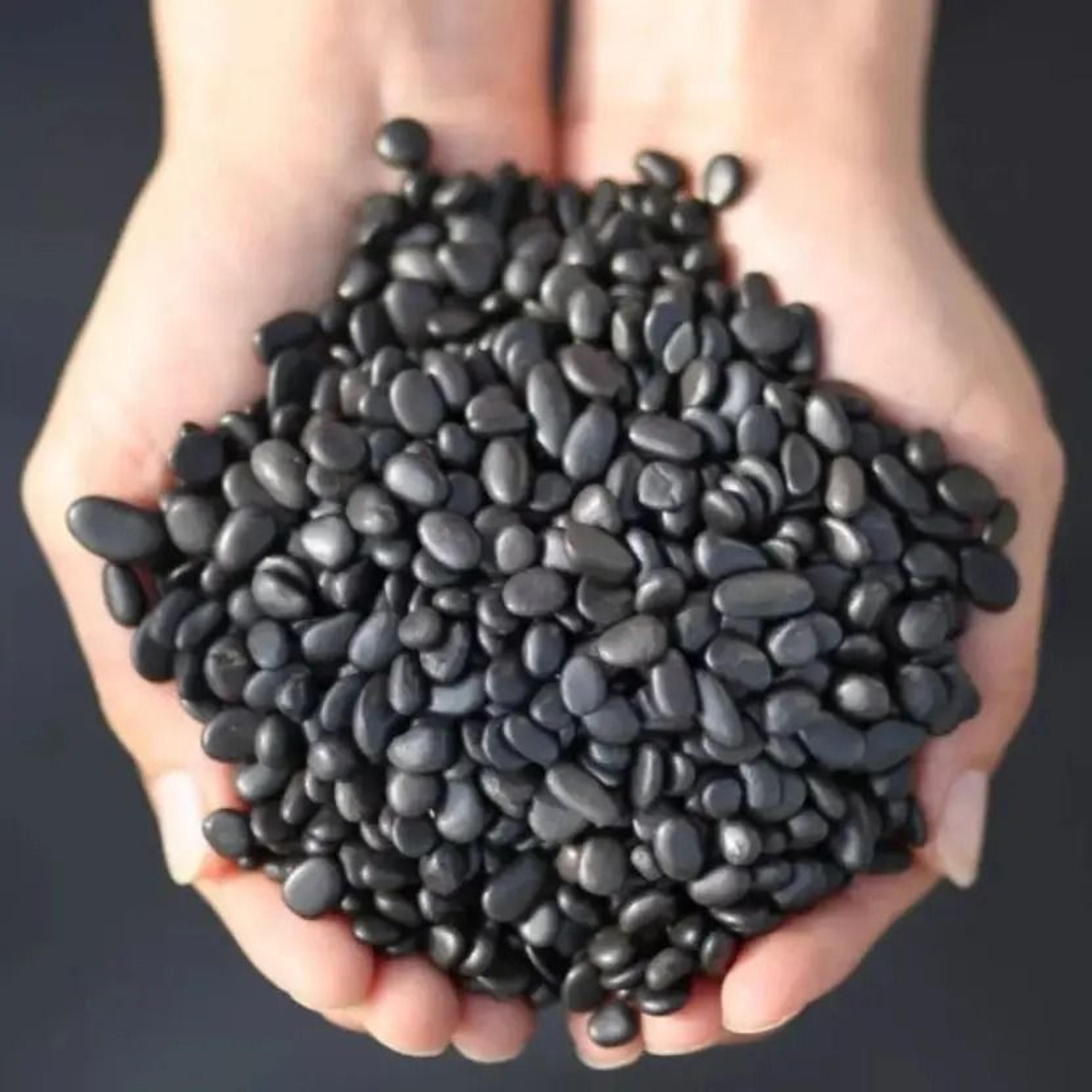 pureguard shungite crystal gravel 100g natural healing stone & water purifier