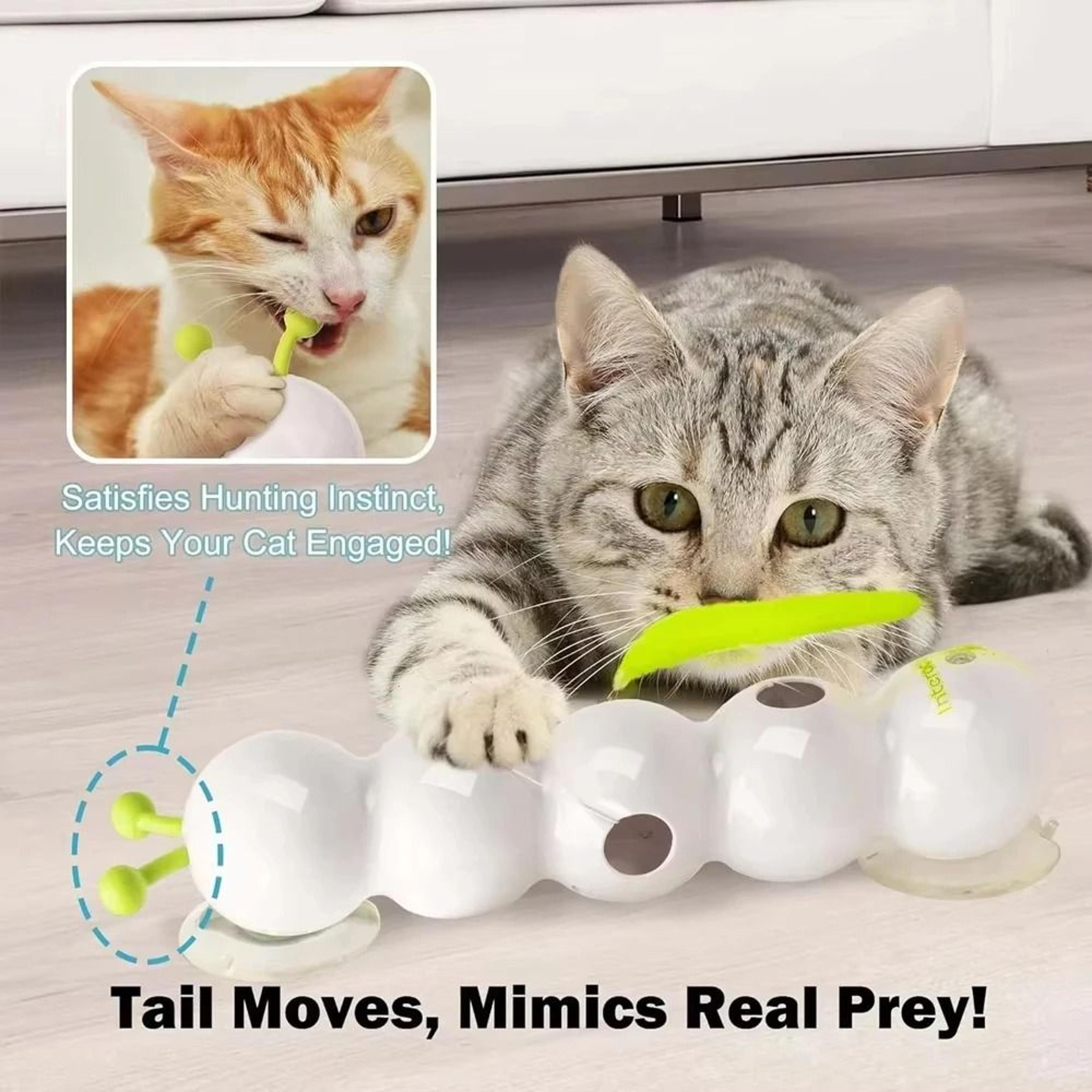 WackPlay Interactive Caterpillar Cat Toy Motion Activated Worm Teaser 0