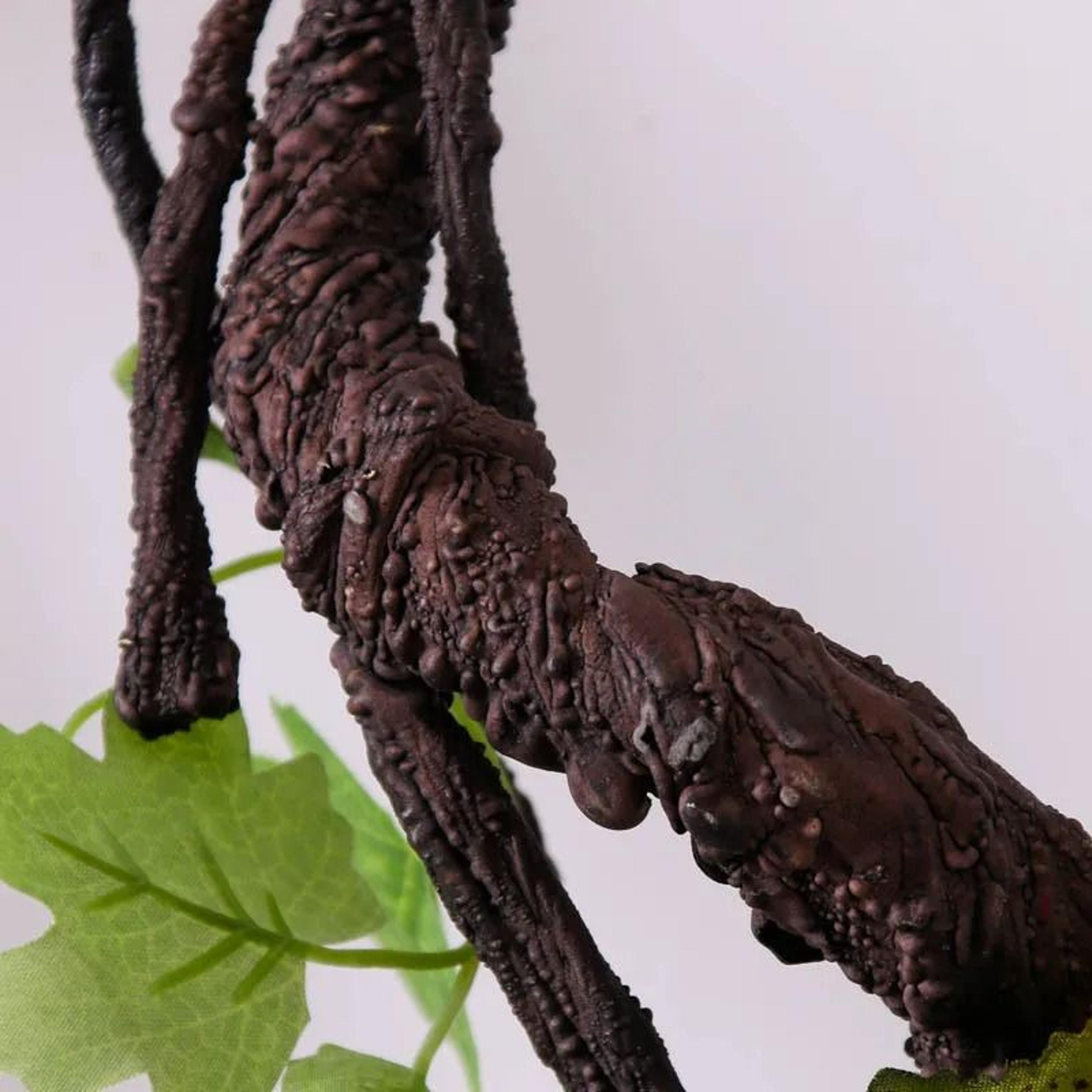 Artificial Rattan Vine Wall Hanging For Wedding And Rustic Home Decor 3