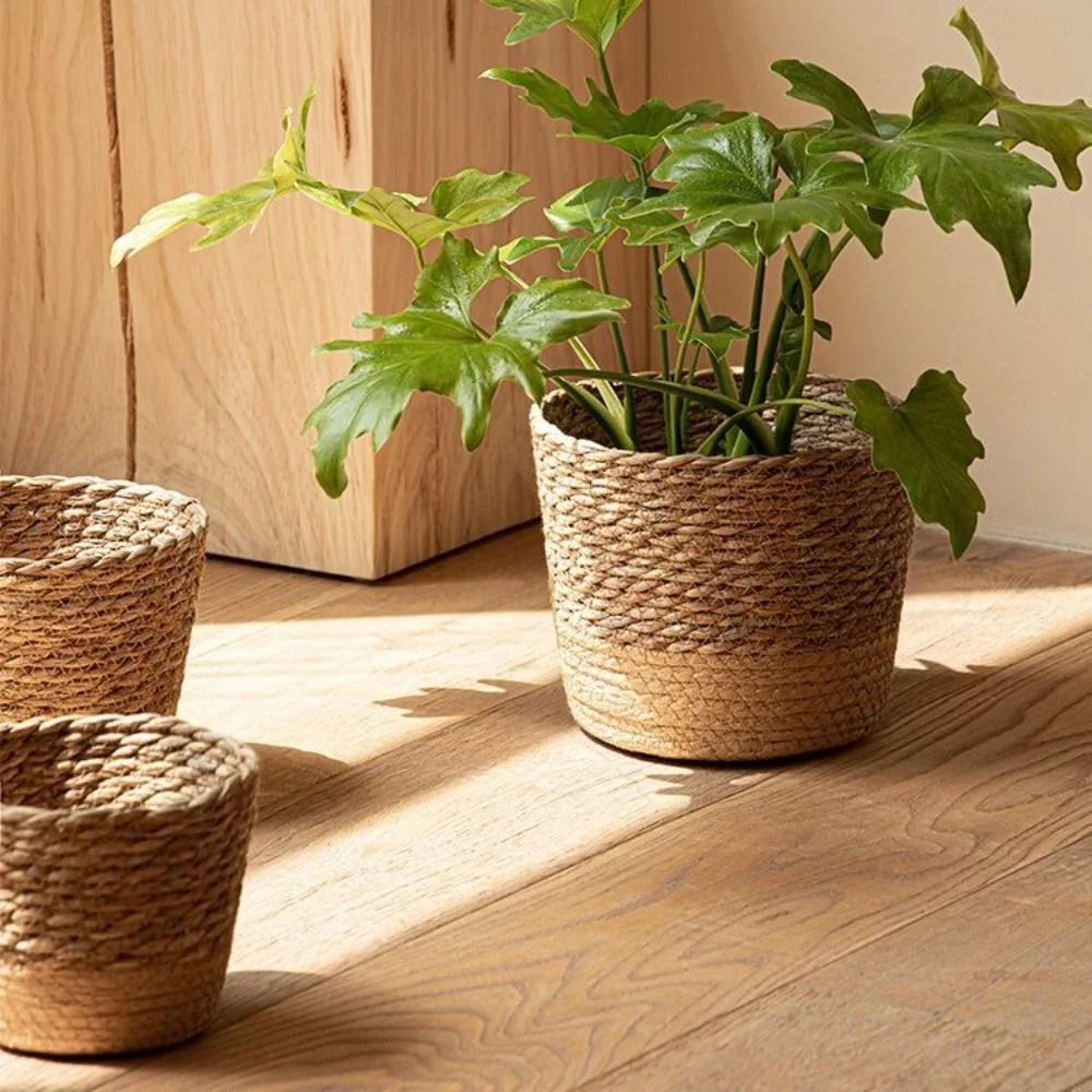 handmade rattan woven planter basket for indoor & outdoor plants
