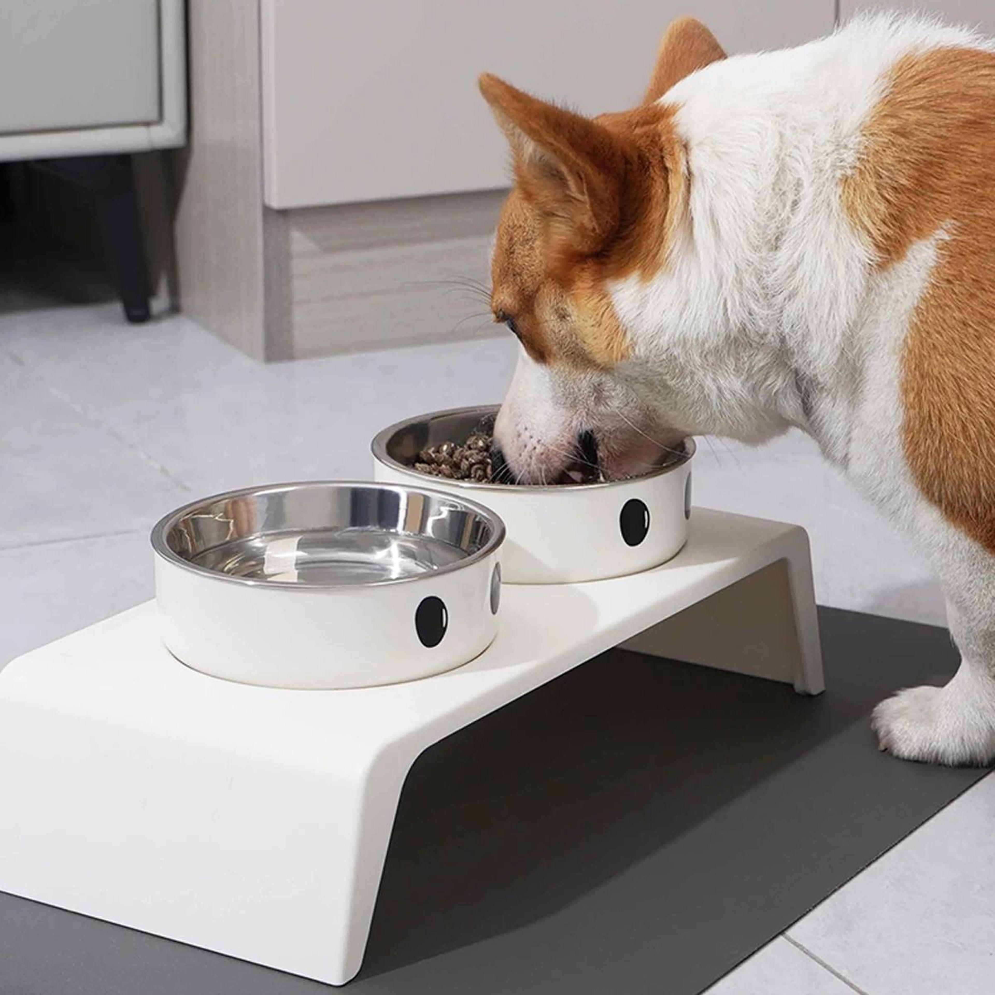 Elevated Adjustable Raised Dog Feeder With Double Stainless Steel Bowls For Small Medium  Large Pet 0