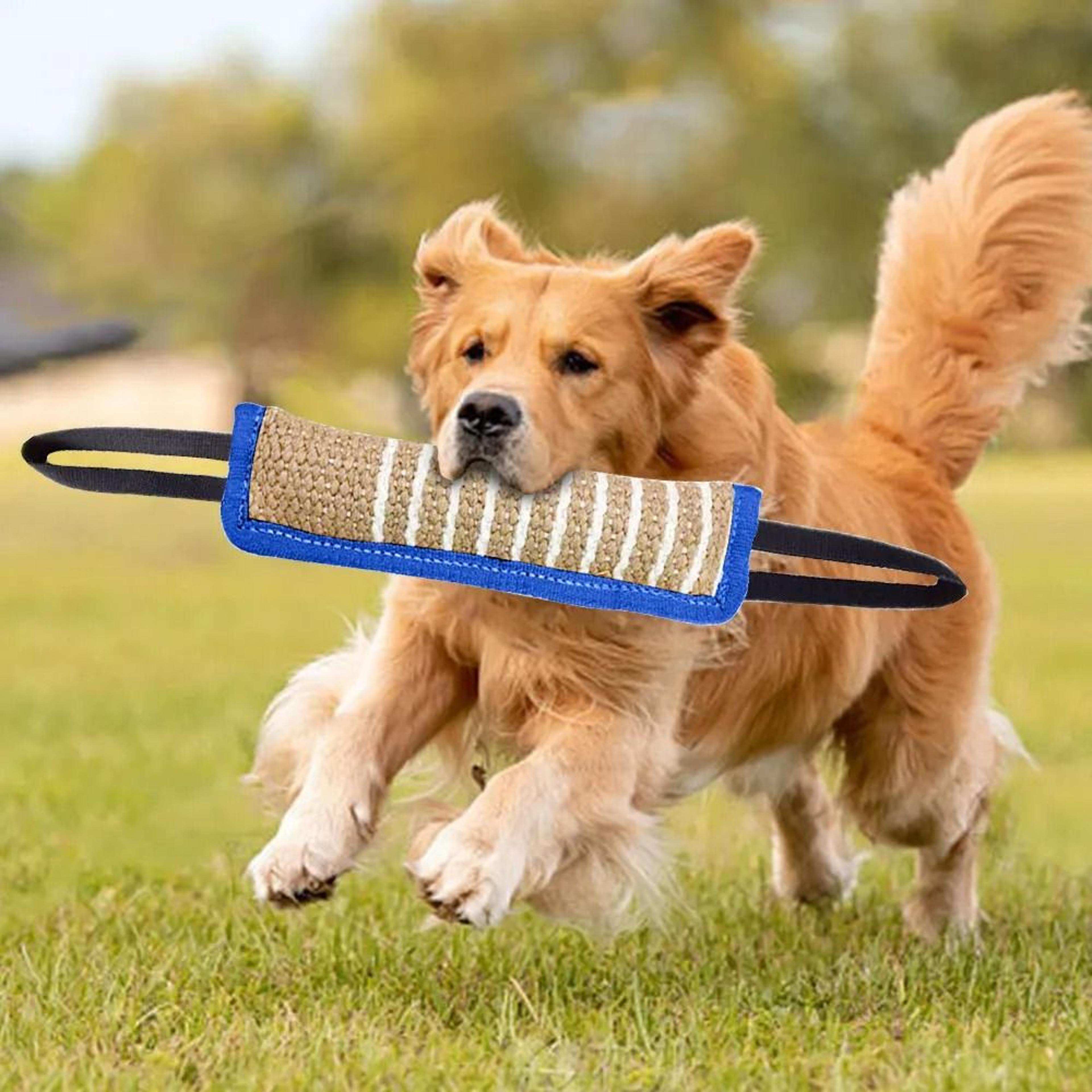 Durable Dog Bite Training Rod Toy For Teeth Grinding  Interactive Play 3