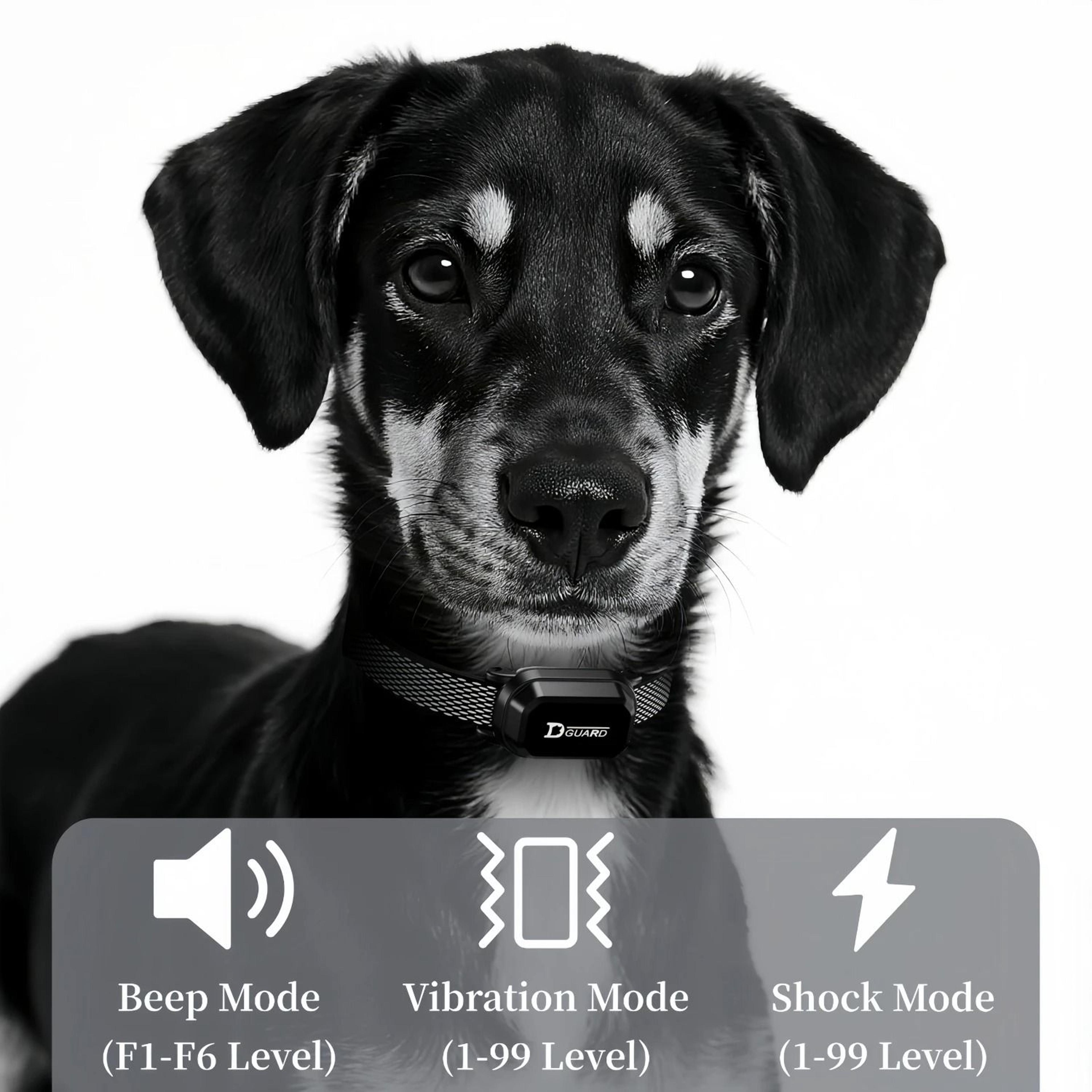 3300FT Waterproof Remote Dog Training Collar For Small Medium  Large Dogs 3
