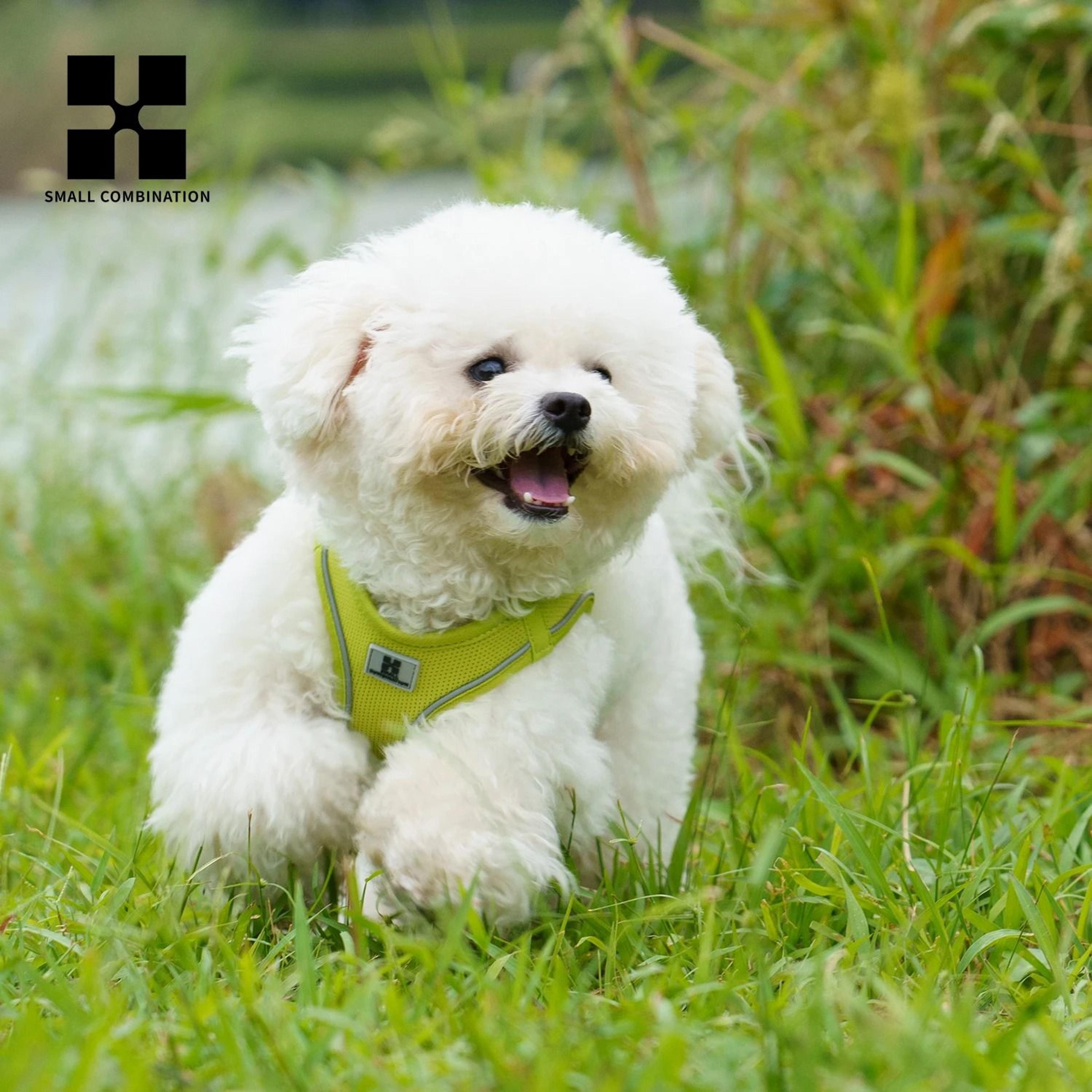 Adjustable Reflective Dog Harness  Leash Set For Small  Medium Pets 4