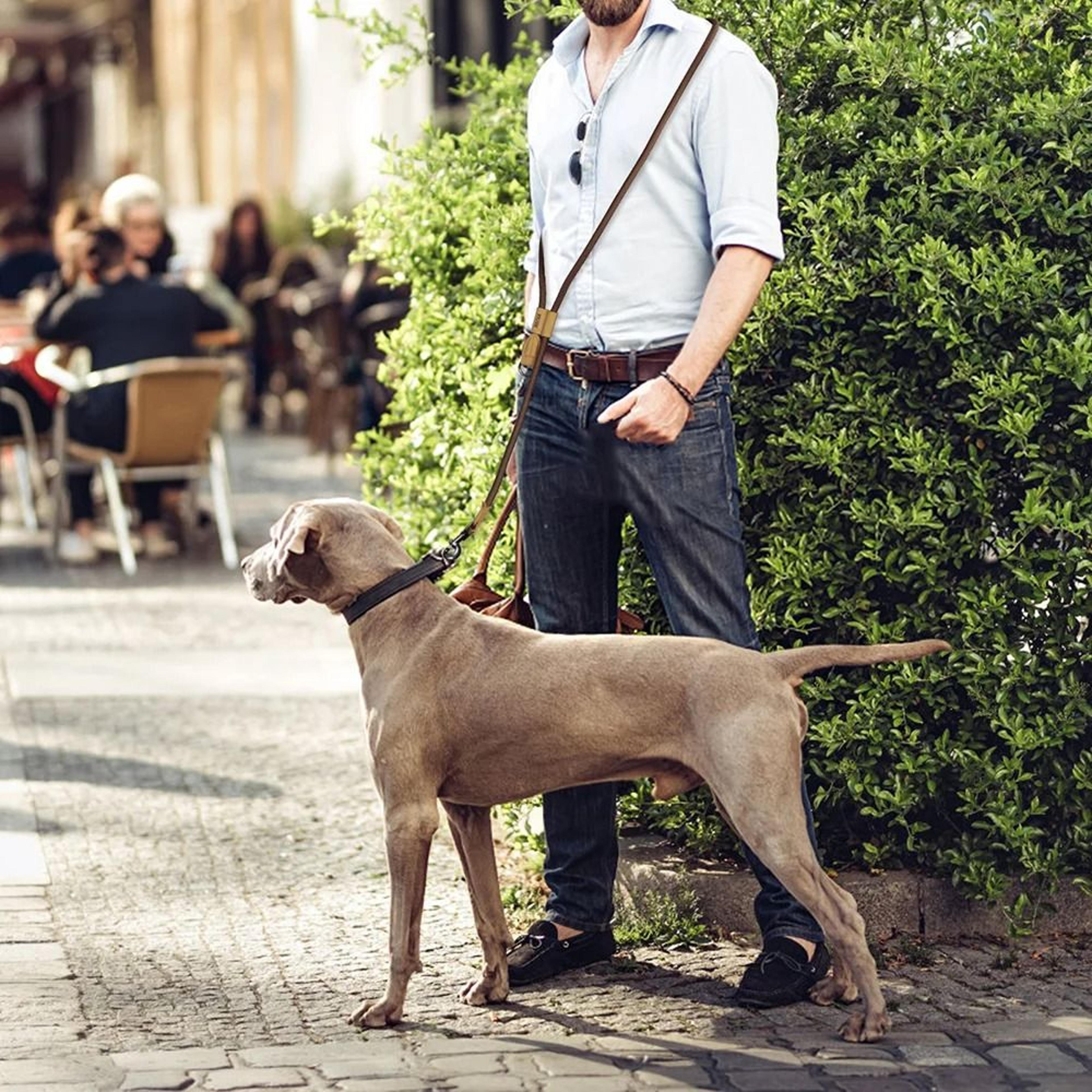 FreedomStride HandsFree Dog Leash For Running  Walking 4