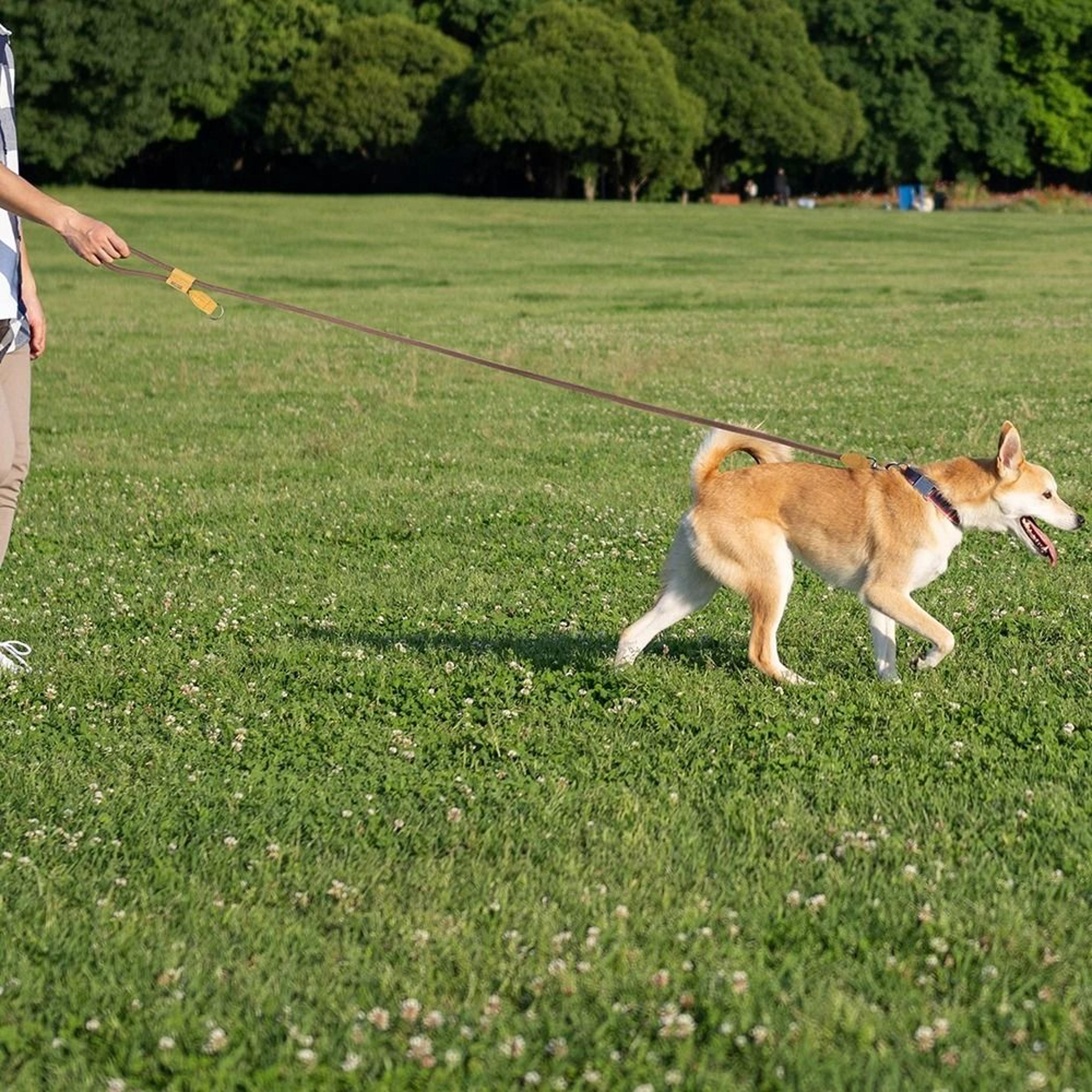 FreedomStride HandsFree Dog Leash For Running  Walking 6