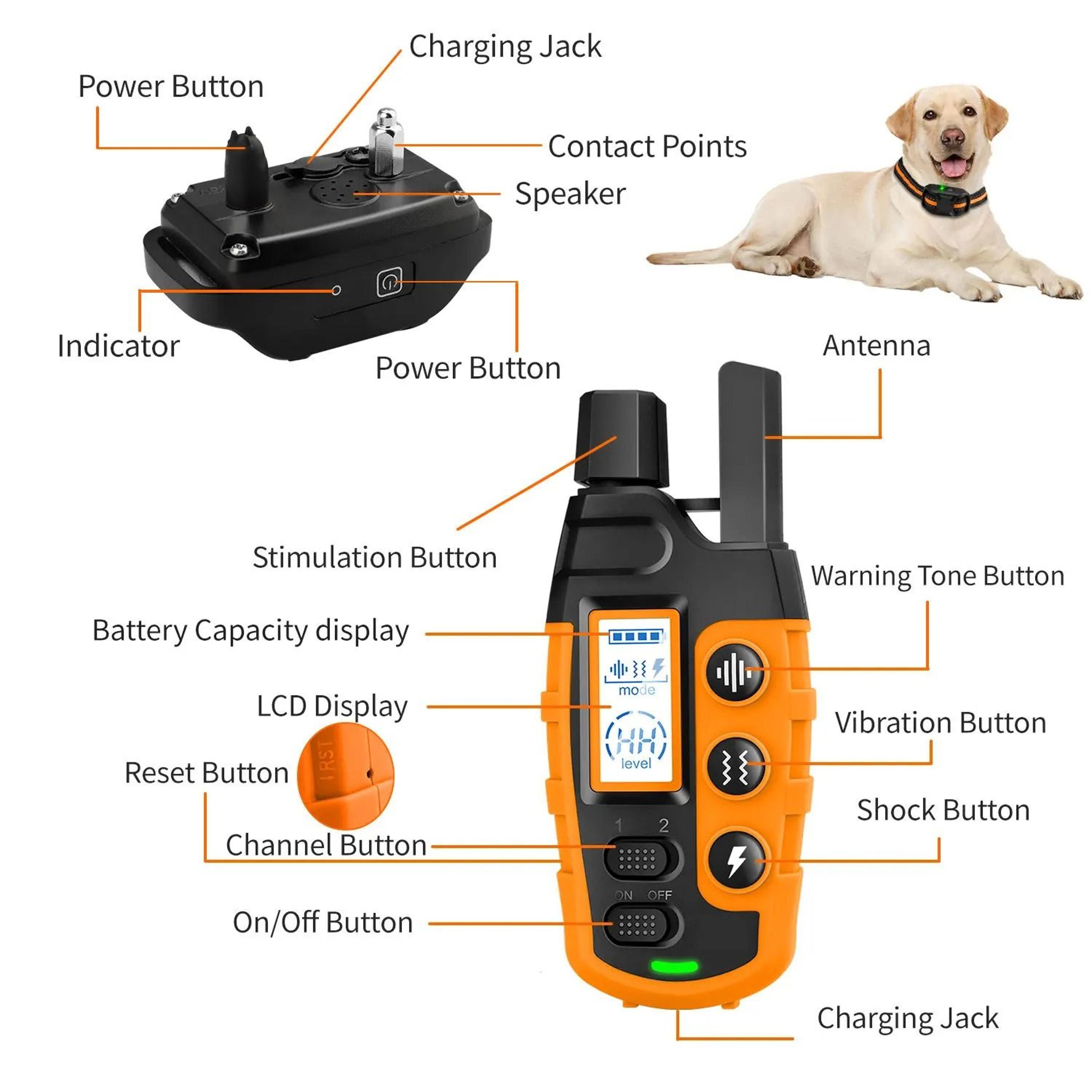 TrainGuard Waterproof Remote Dog Training Collar For Medium  Large Dogs 6
