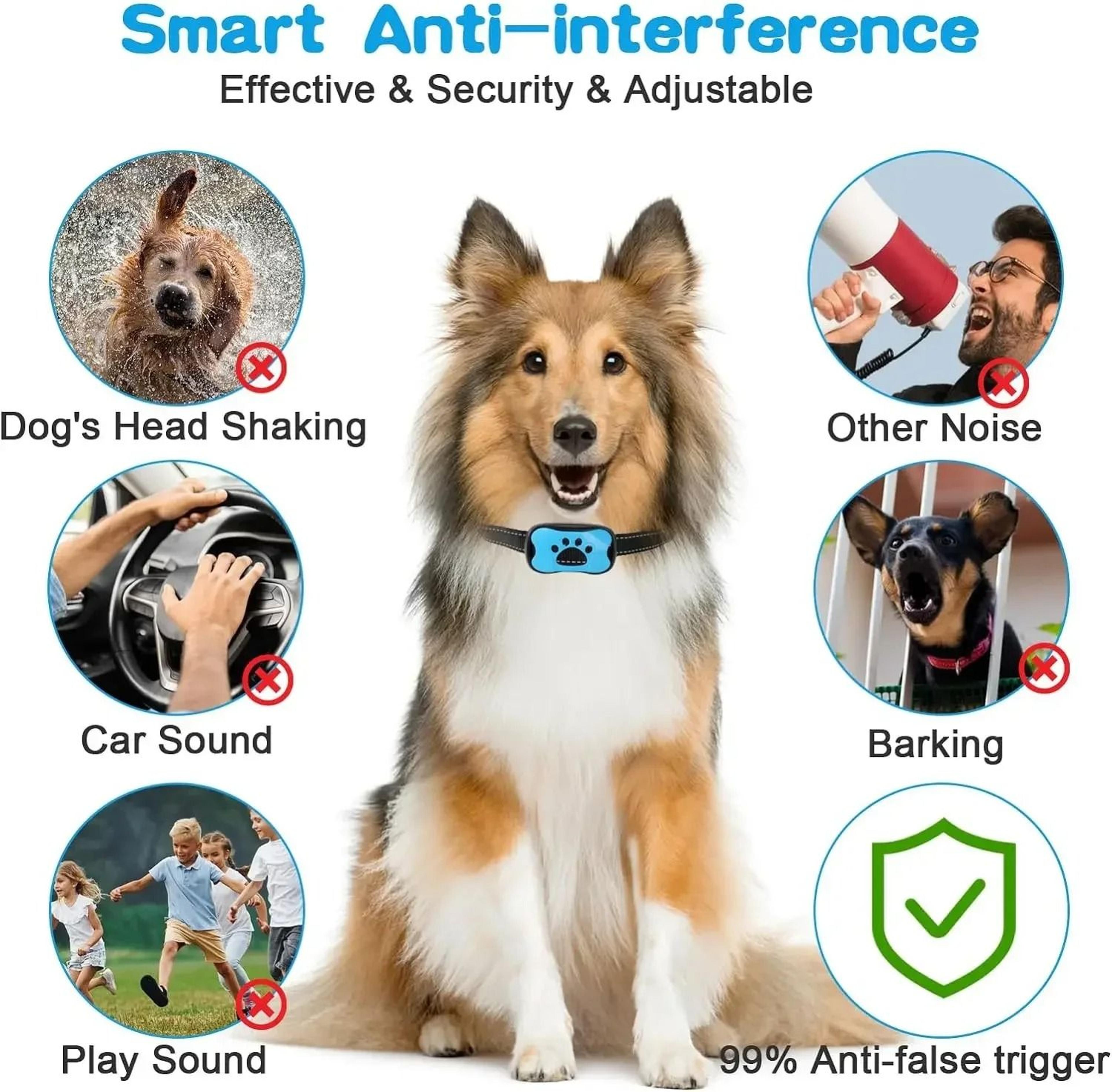 QuietGuard Rechargeable Ultrasonic Anti Bark Training Collar 5