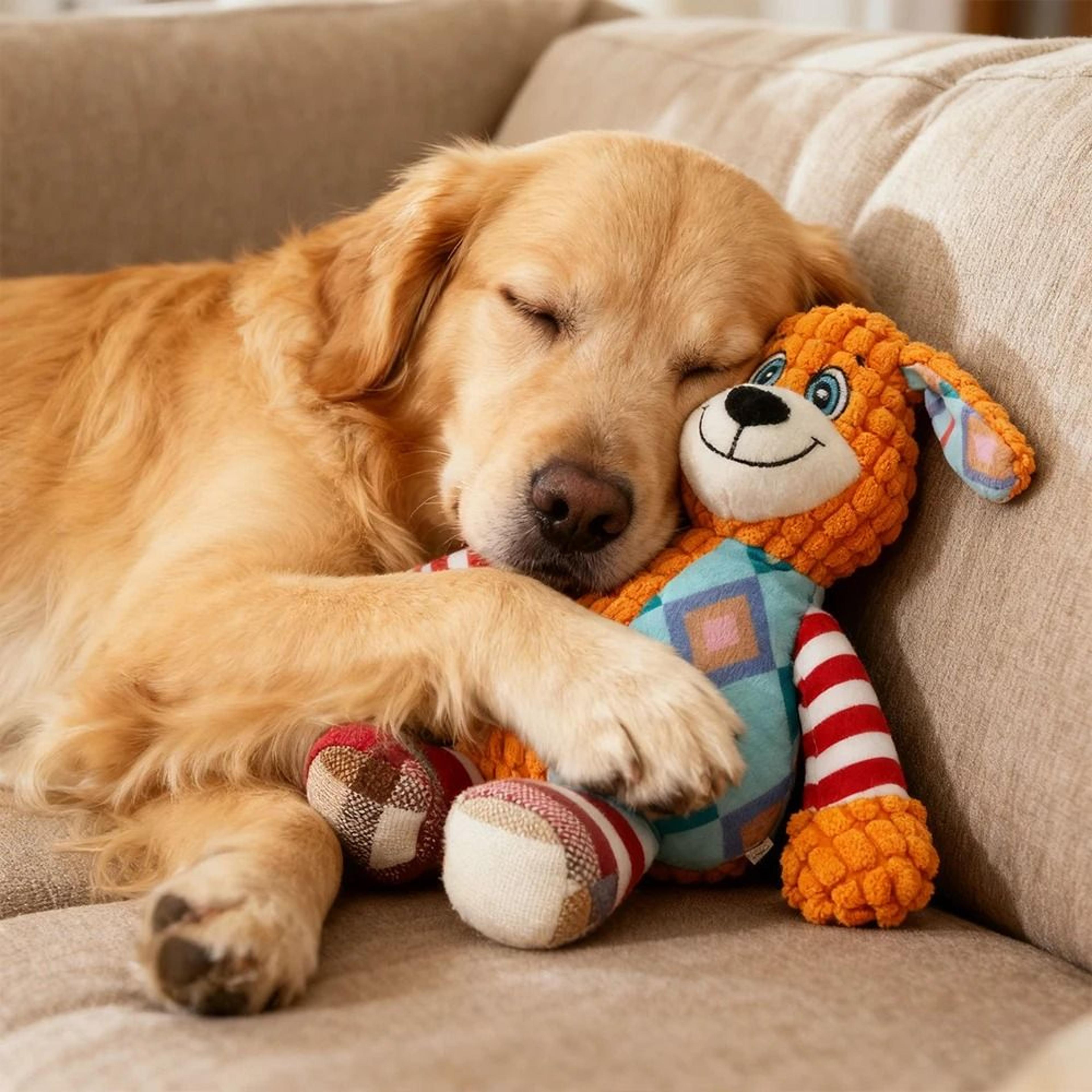 Interactive Squeaky Plush Chew Toy For Dogs  Cats 4