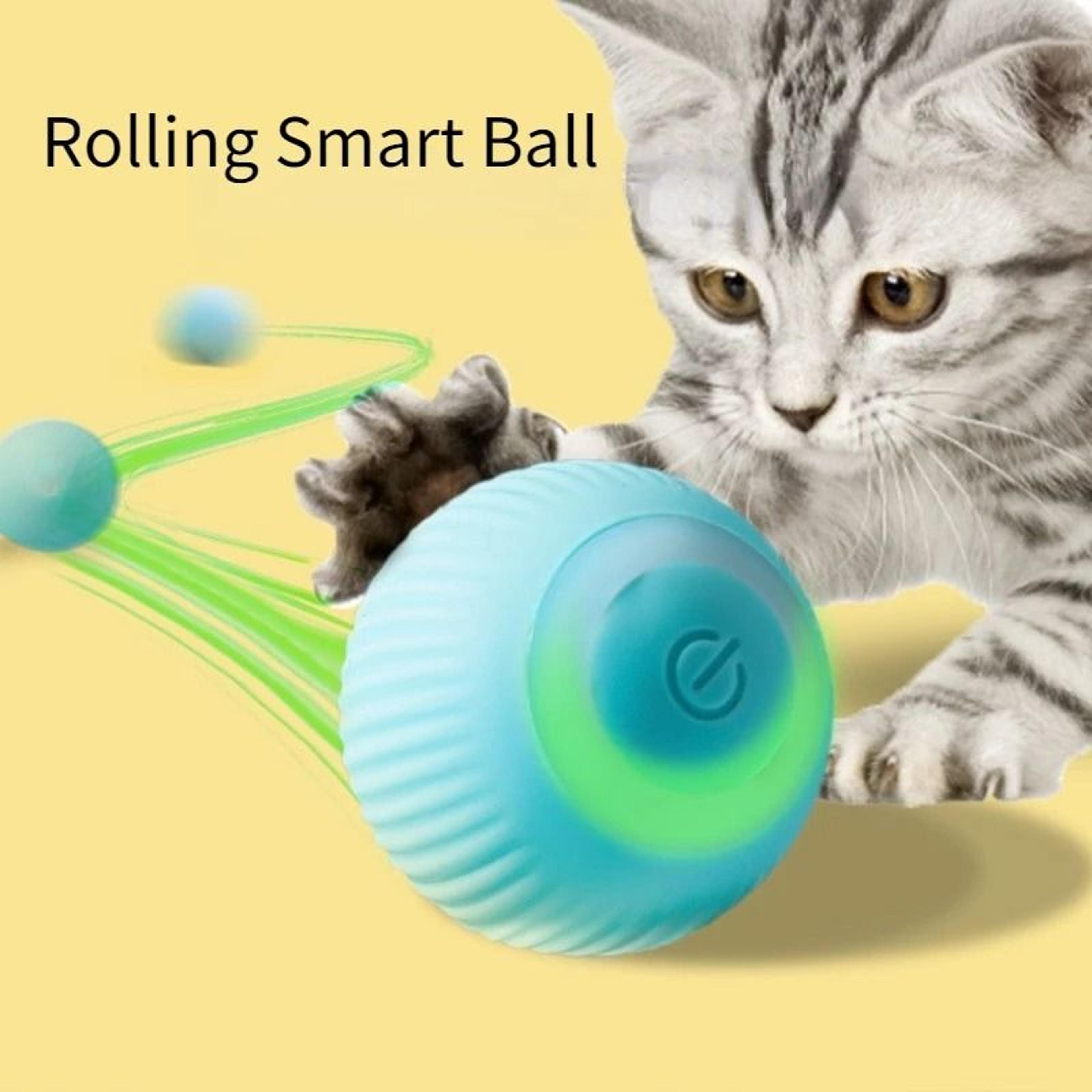 Interactive Smart Rolling Cat Ball Toy For Indoor Cats 0