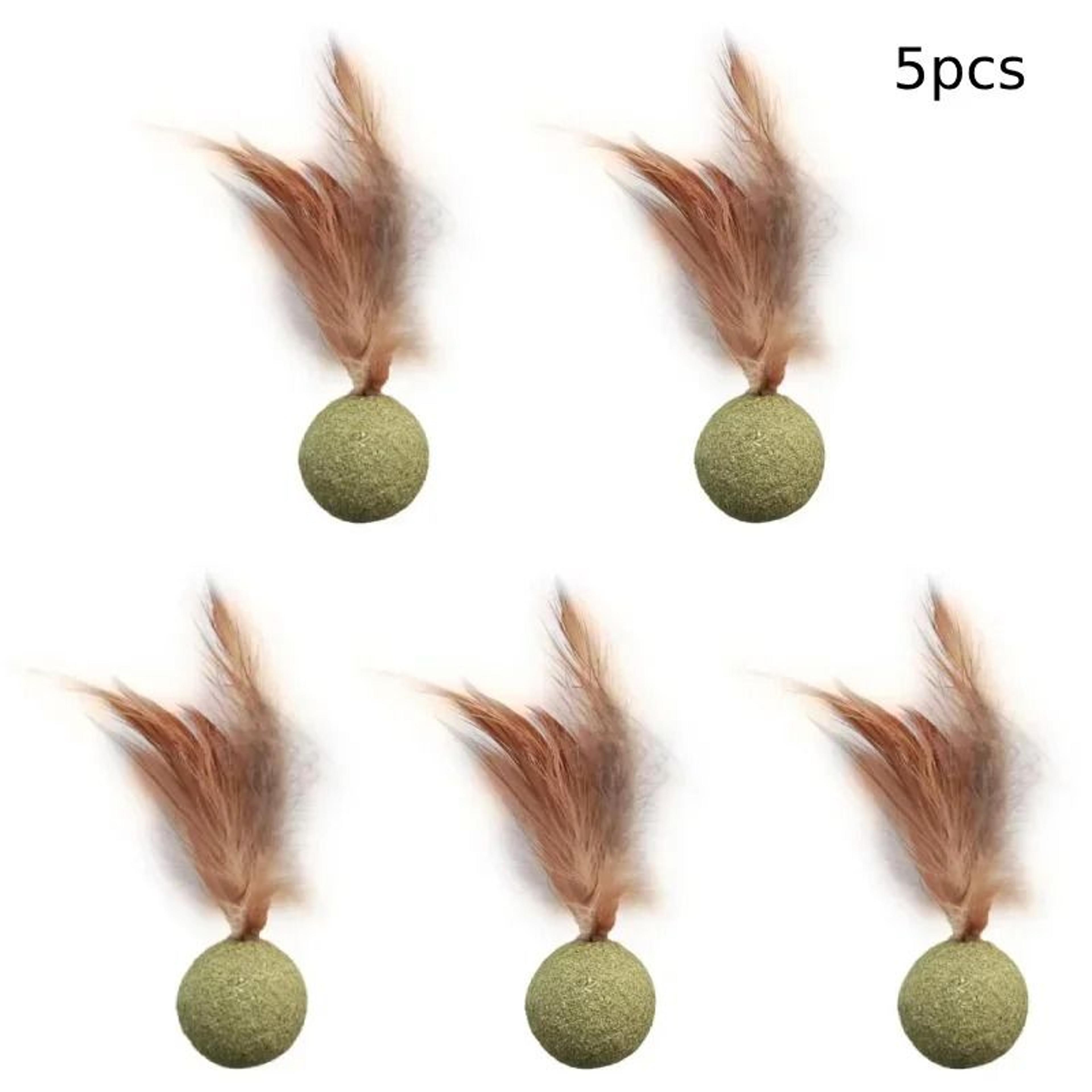 Edible Catnip Ball Toy For Cats 9