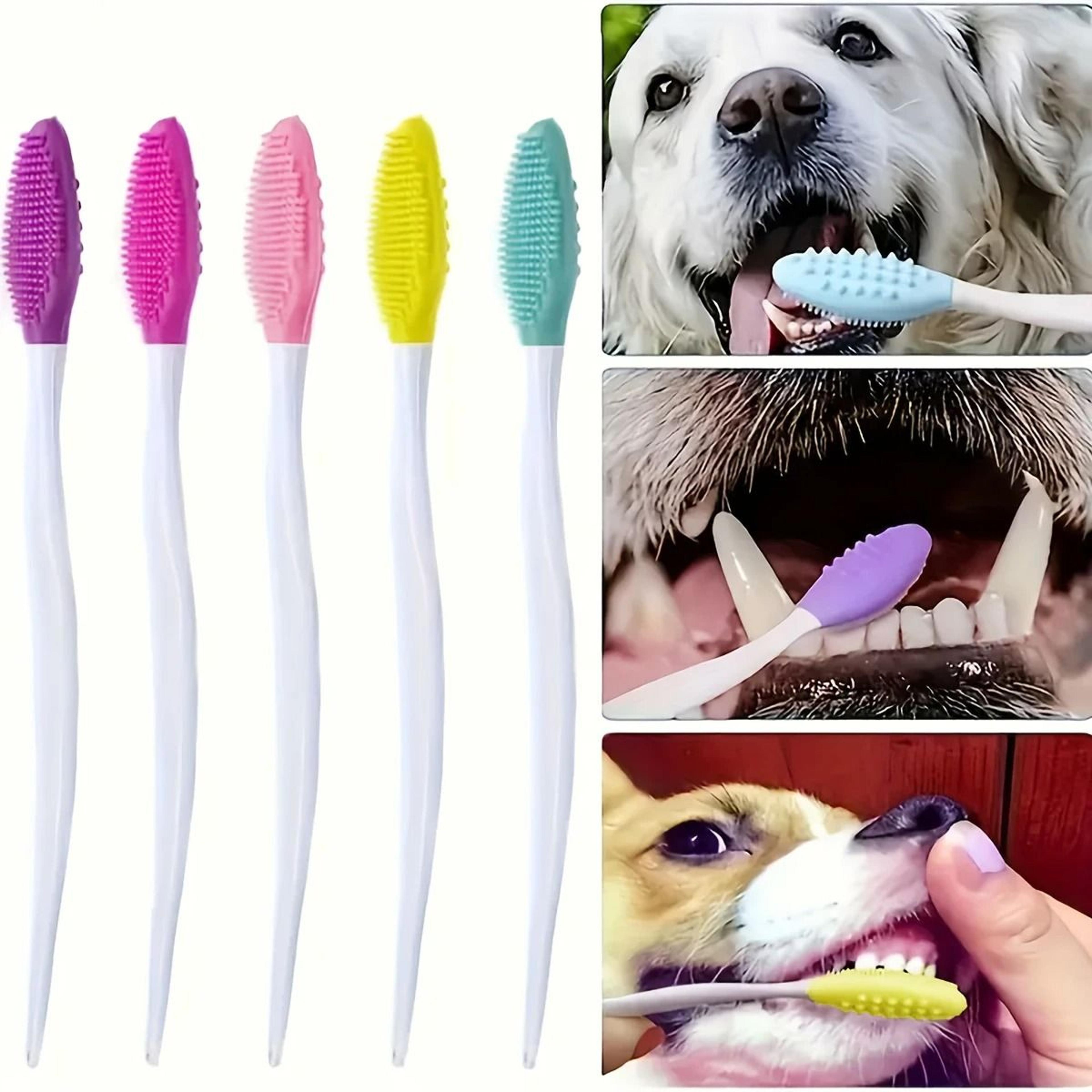pet dental care toothbrush set for dogs and puppies