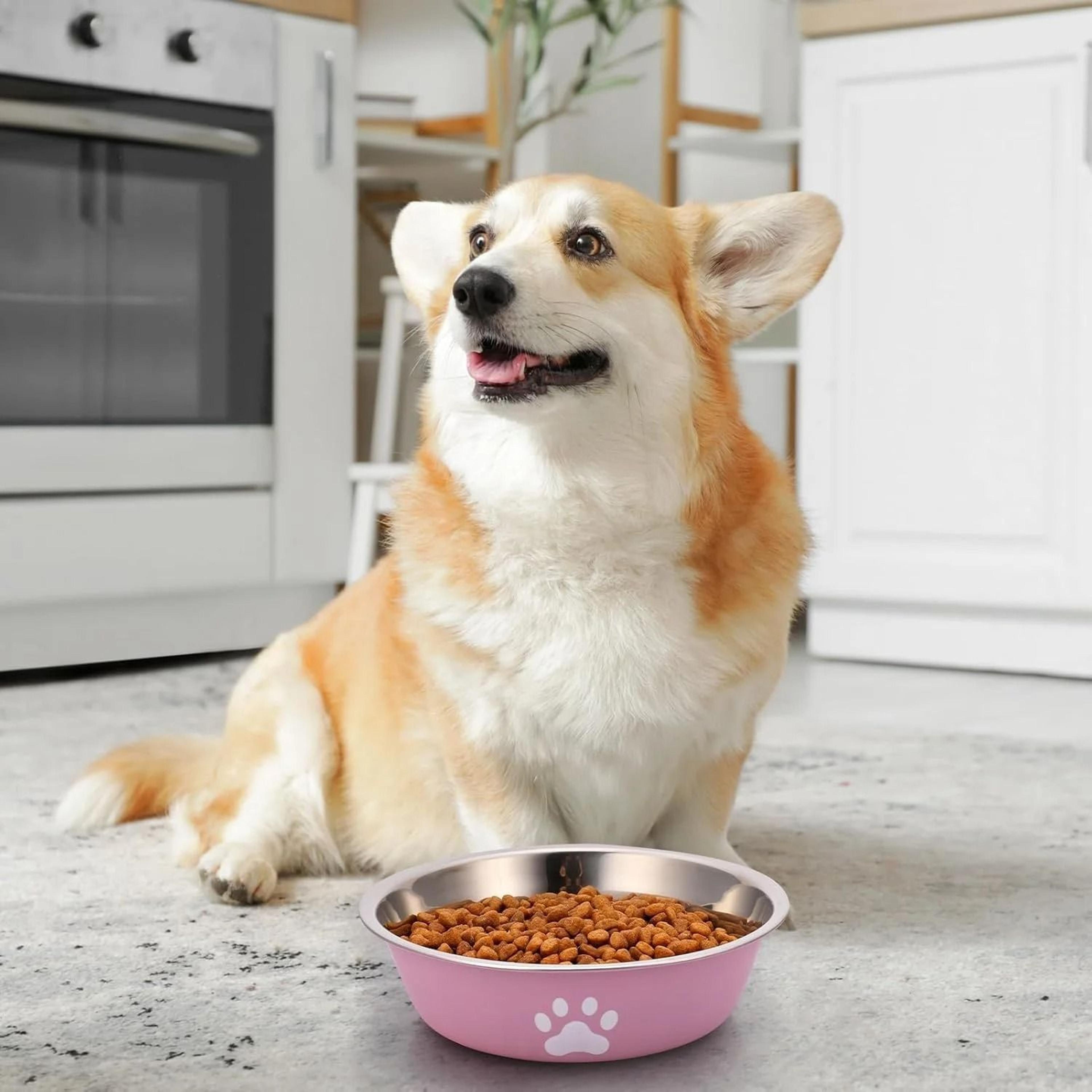 Stainless Steel NonSlip Pet Food  Water Bowl For Dogs  Cats 3