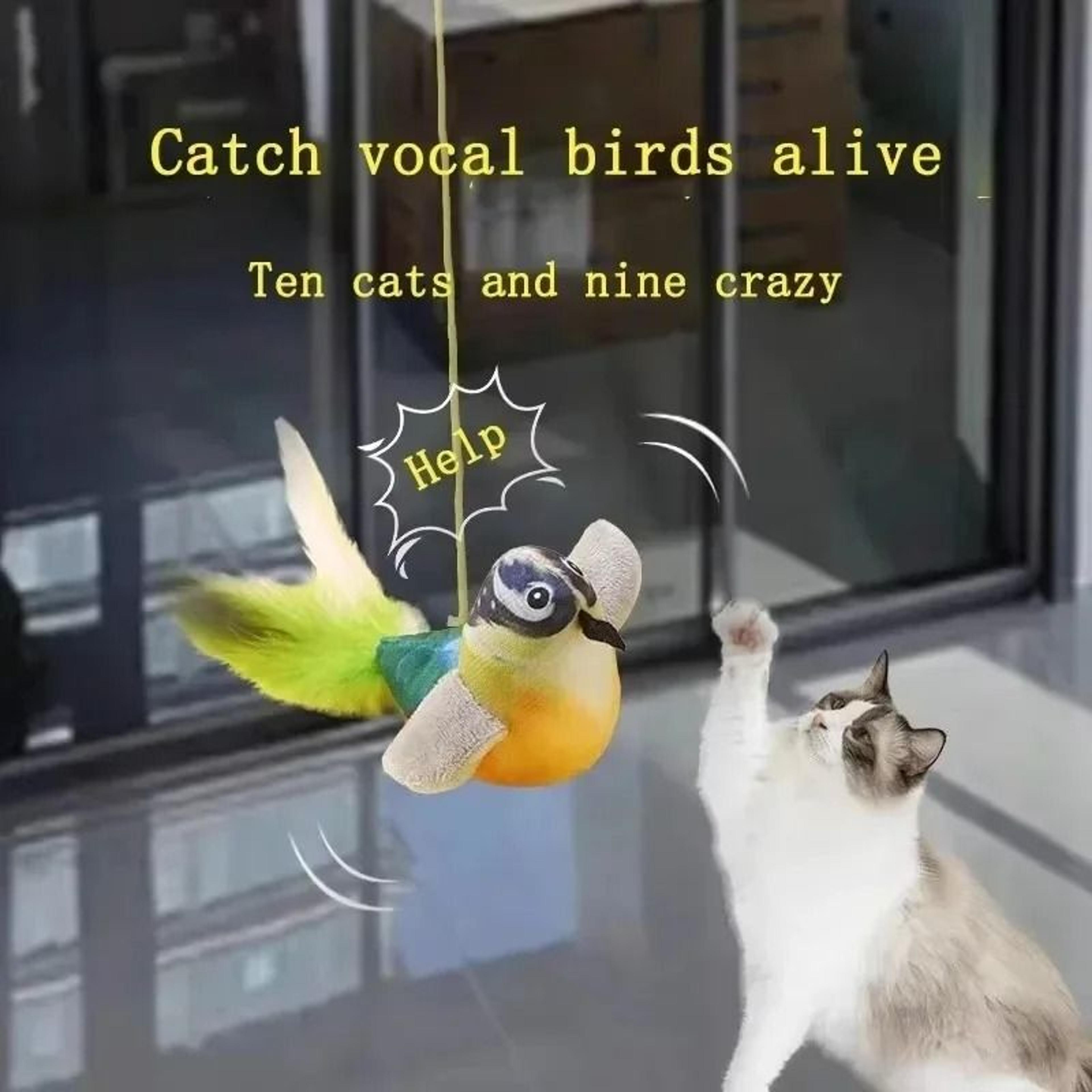 Interactive Chirping Bird Cat Toy With Elastic Rope Plush Hanging Teaser 1