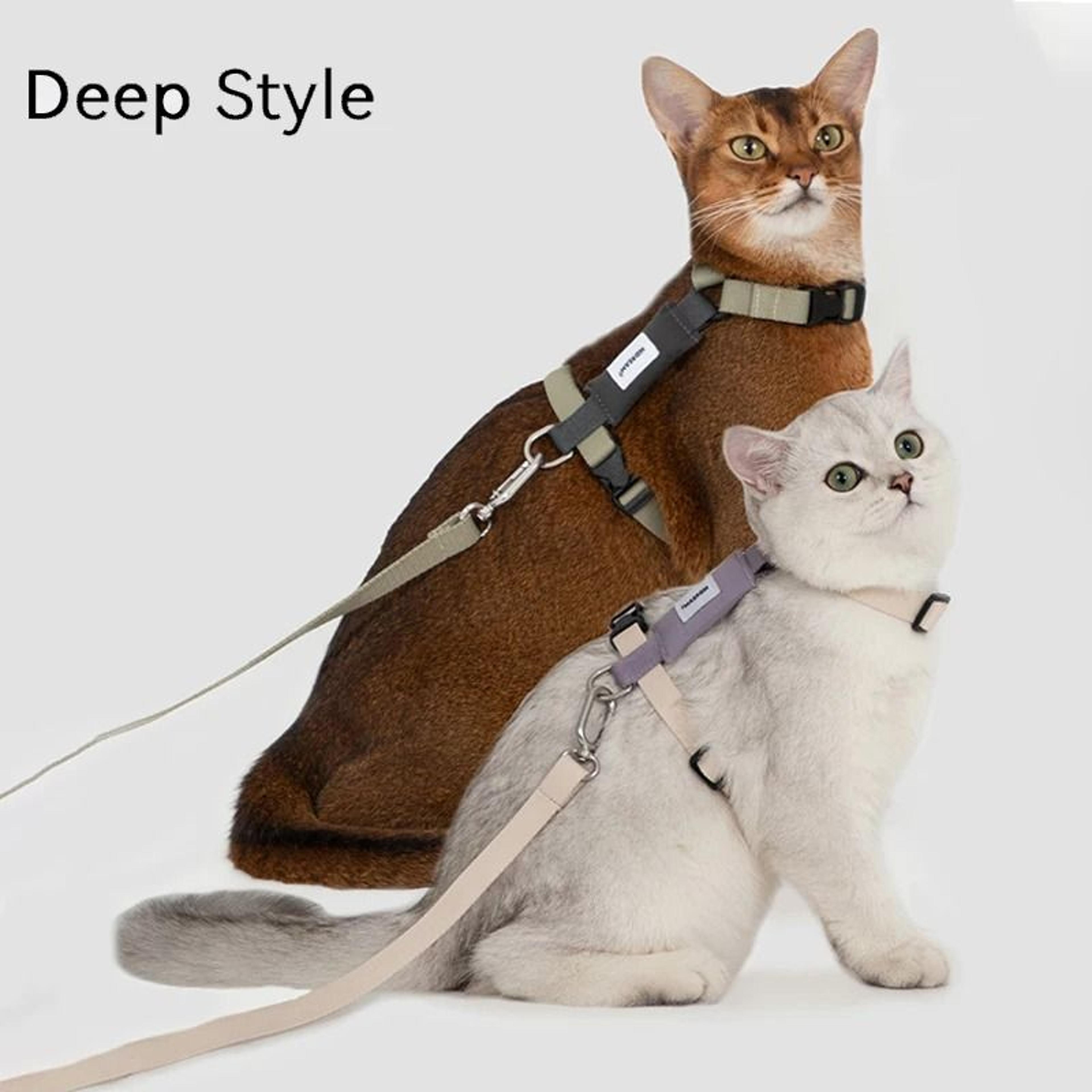 airpaws breathable cat harness and leash set for outdoor walking