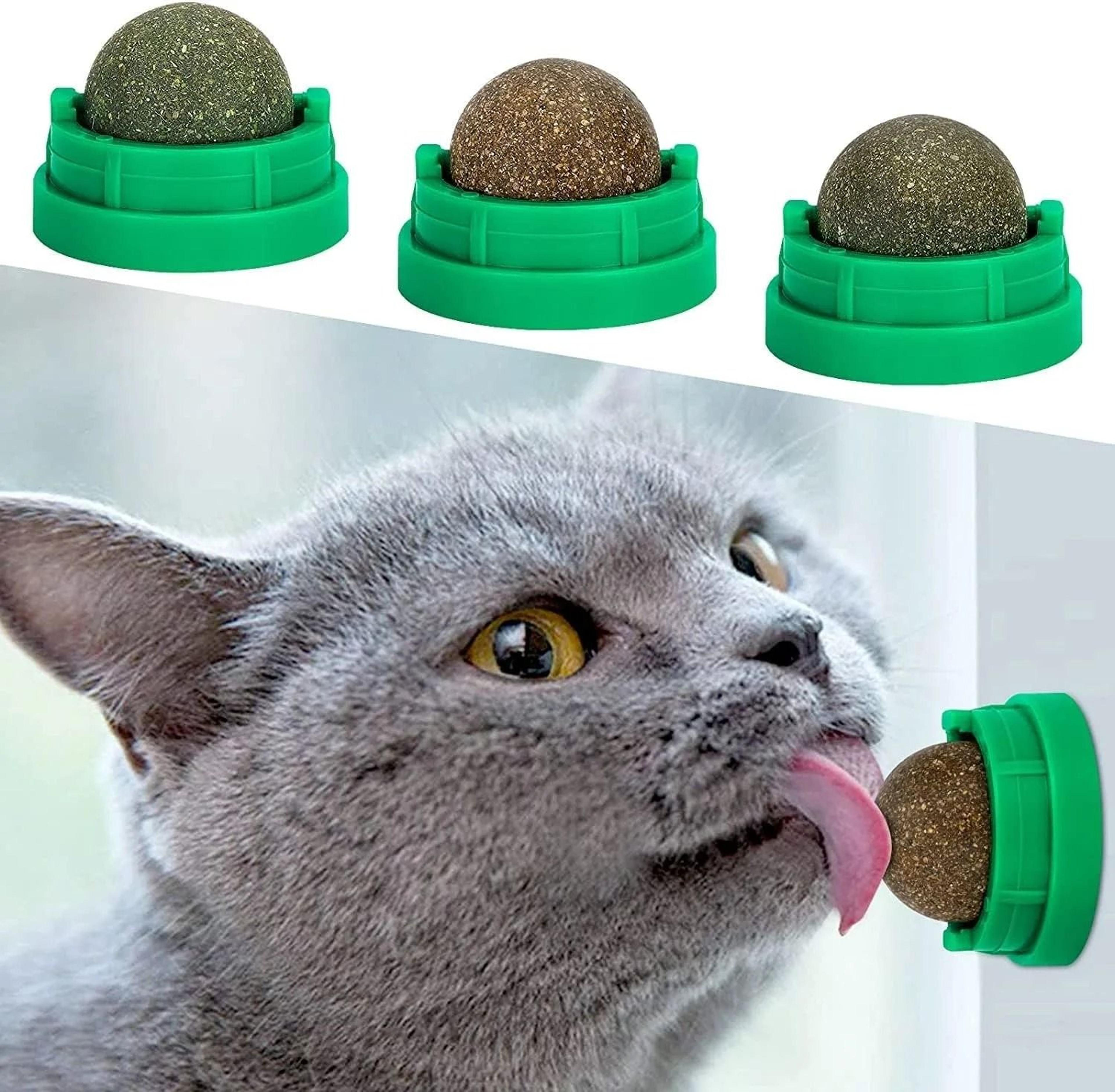 natural catnip ball chew toy for teeth cleaning & interactive play