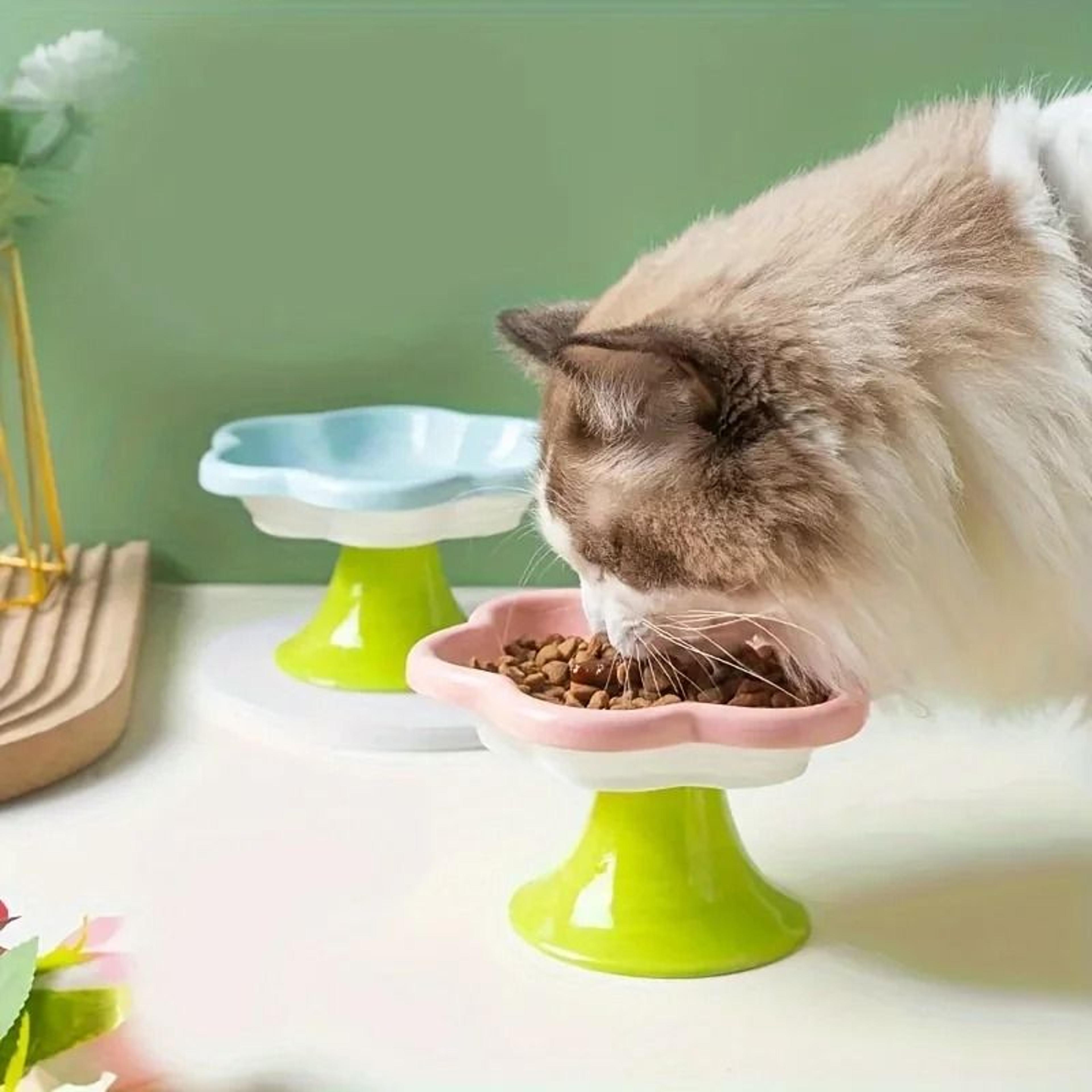 Floral Elevated Ceramic Cat Bowl With Neck Protection Stand 0