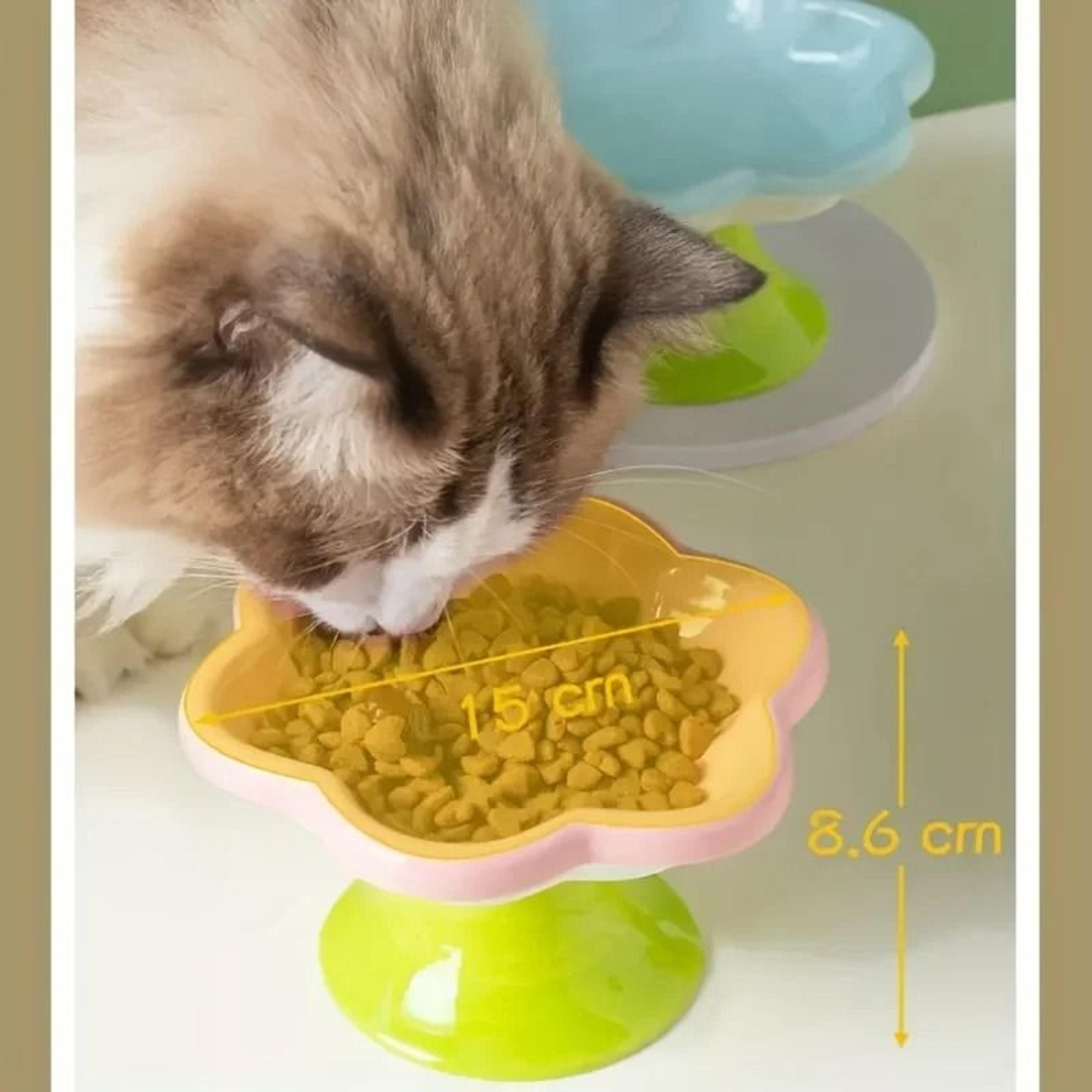 Floral Elevated Ceramic Cat Bowl With Neck Protection Stand 5
