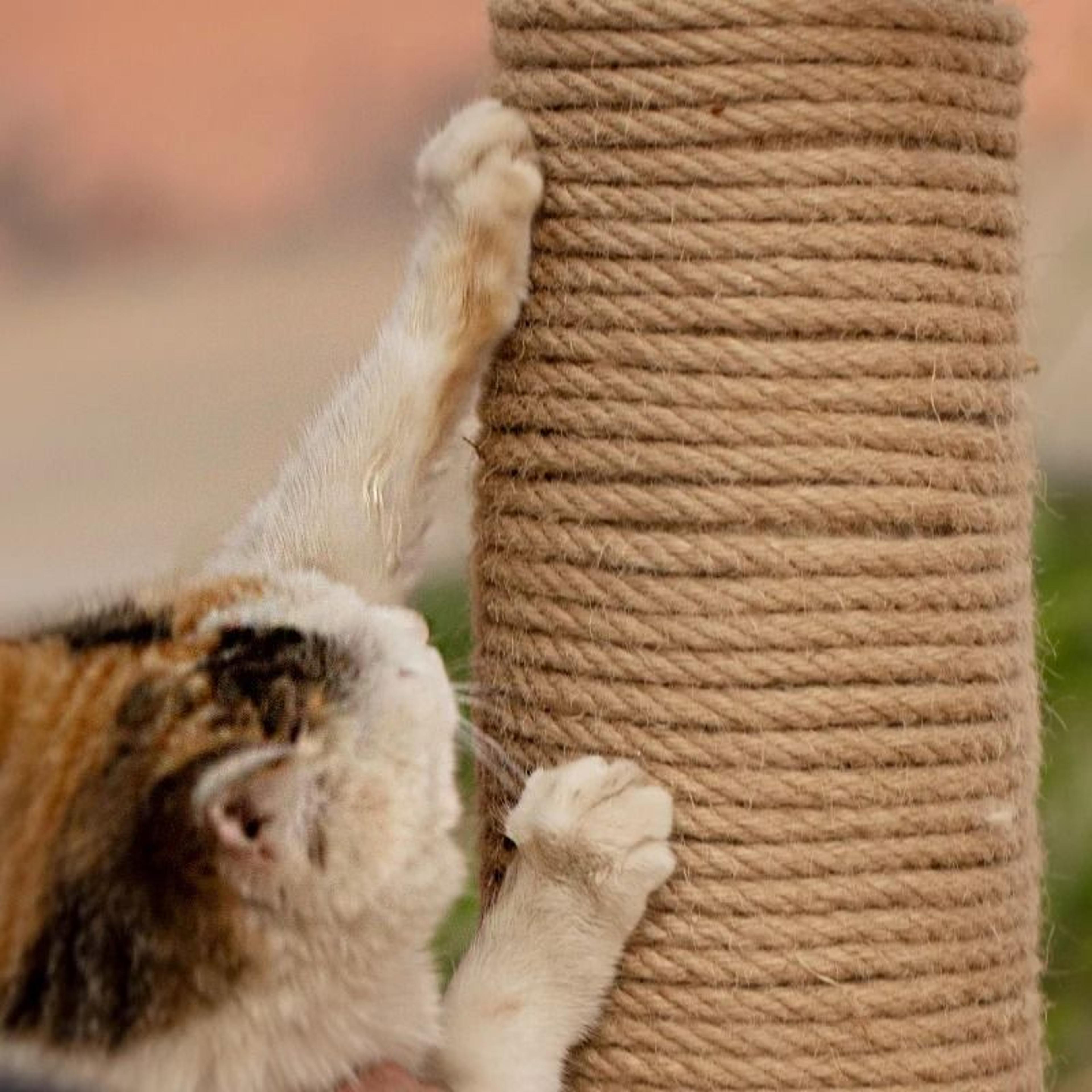 Natural Jute Cat Scratcher Replacement Rope For Cat Trees  Climbing Frames 5