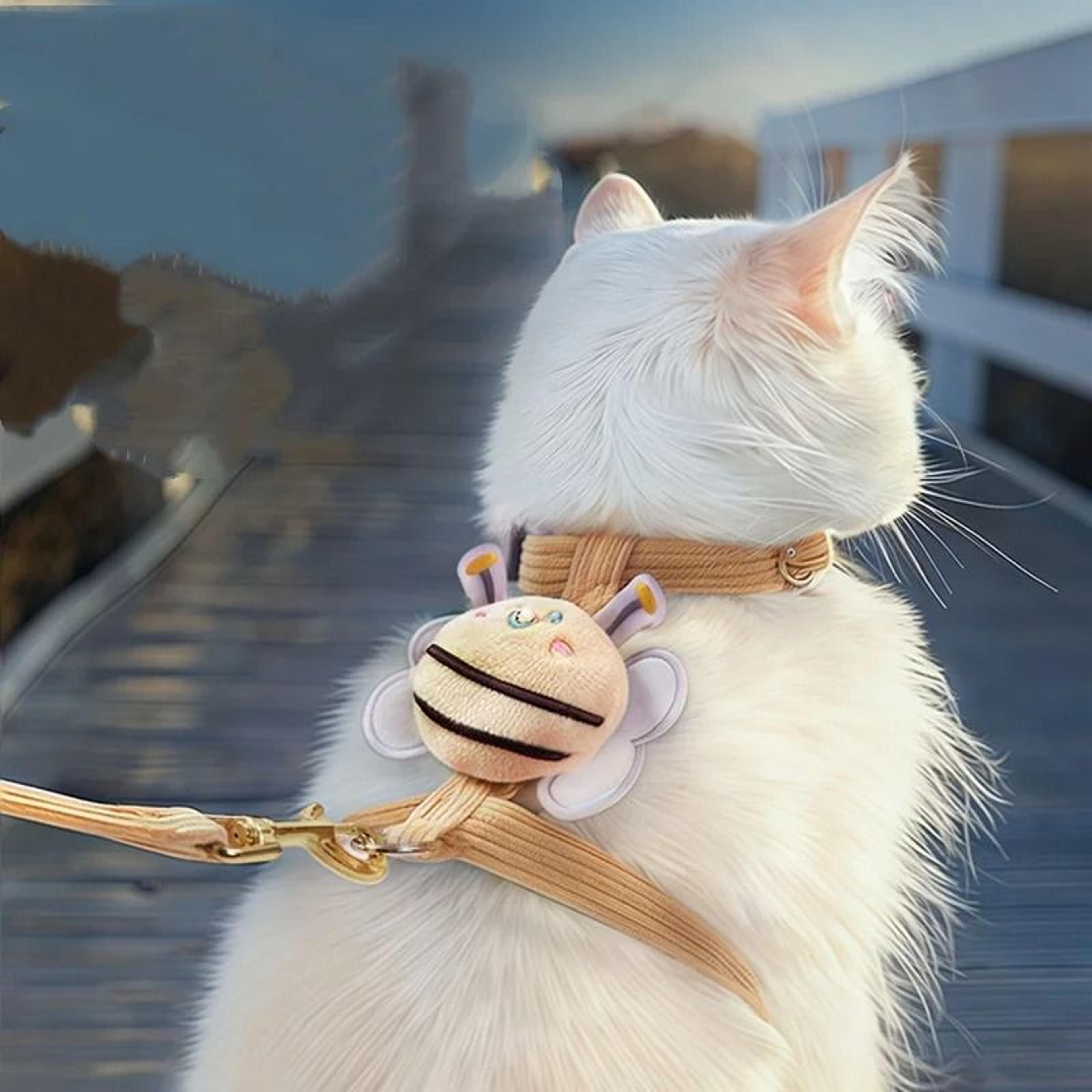 Adjustable NoPull Cat  Small Dog Harness Leash Set 4