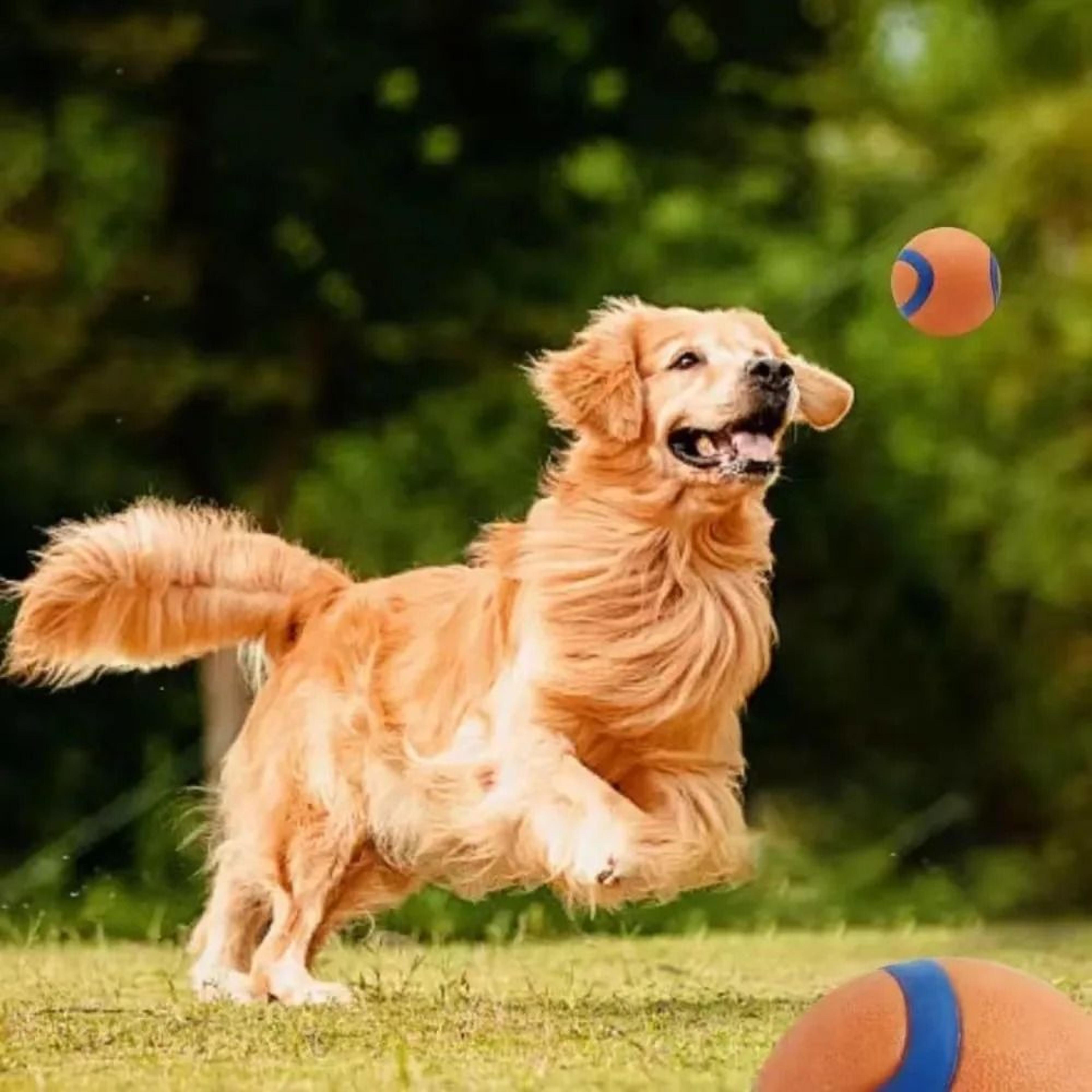 Tough Bounce Fetch Ball For Dogs  Puppies Interactive Chew Toy 1