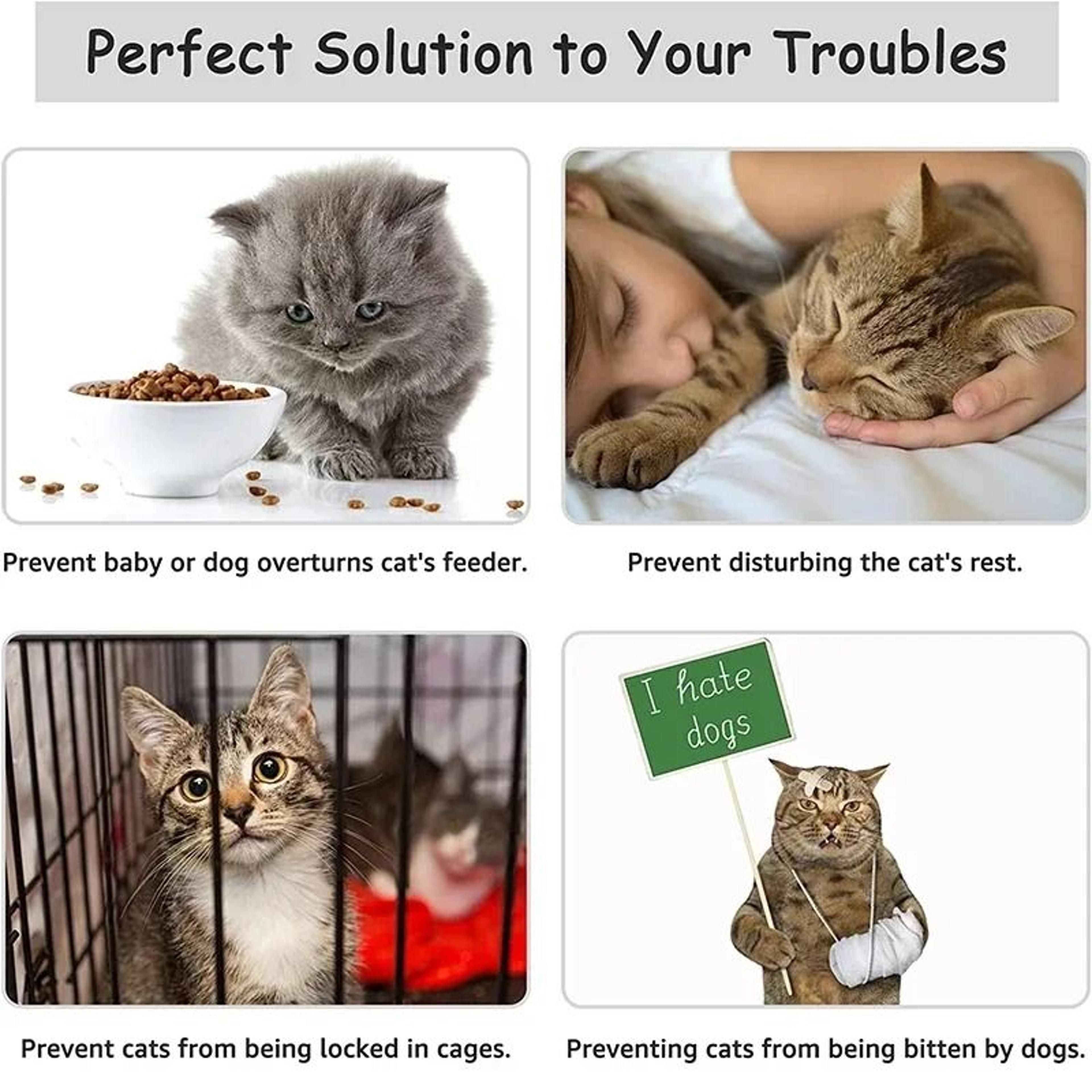 Adjustable Cat Door Latch Strap Keep Dogs Out Flexible Pet Door Stopper 5