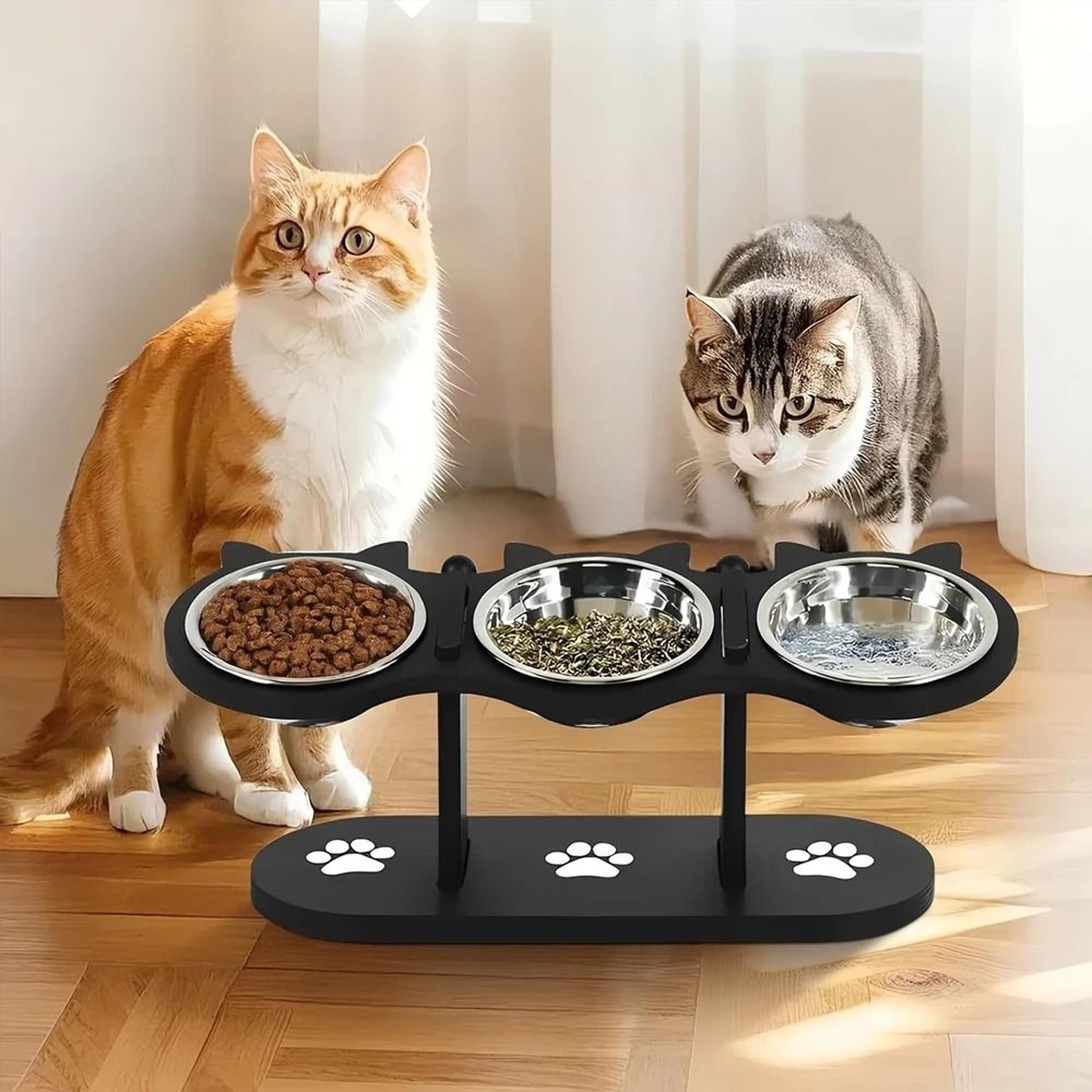 Elevated 3 Bowl Cat Feeding Station With Solid Wood Stand  Stainless Steel Bowls 0