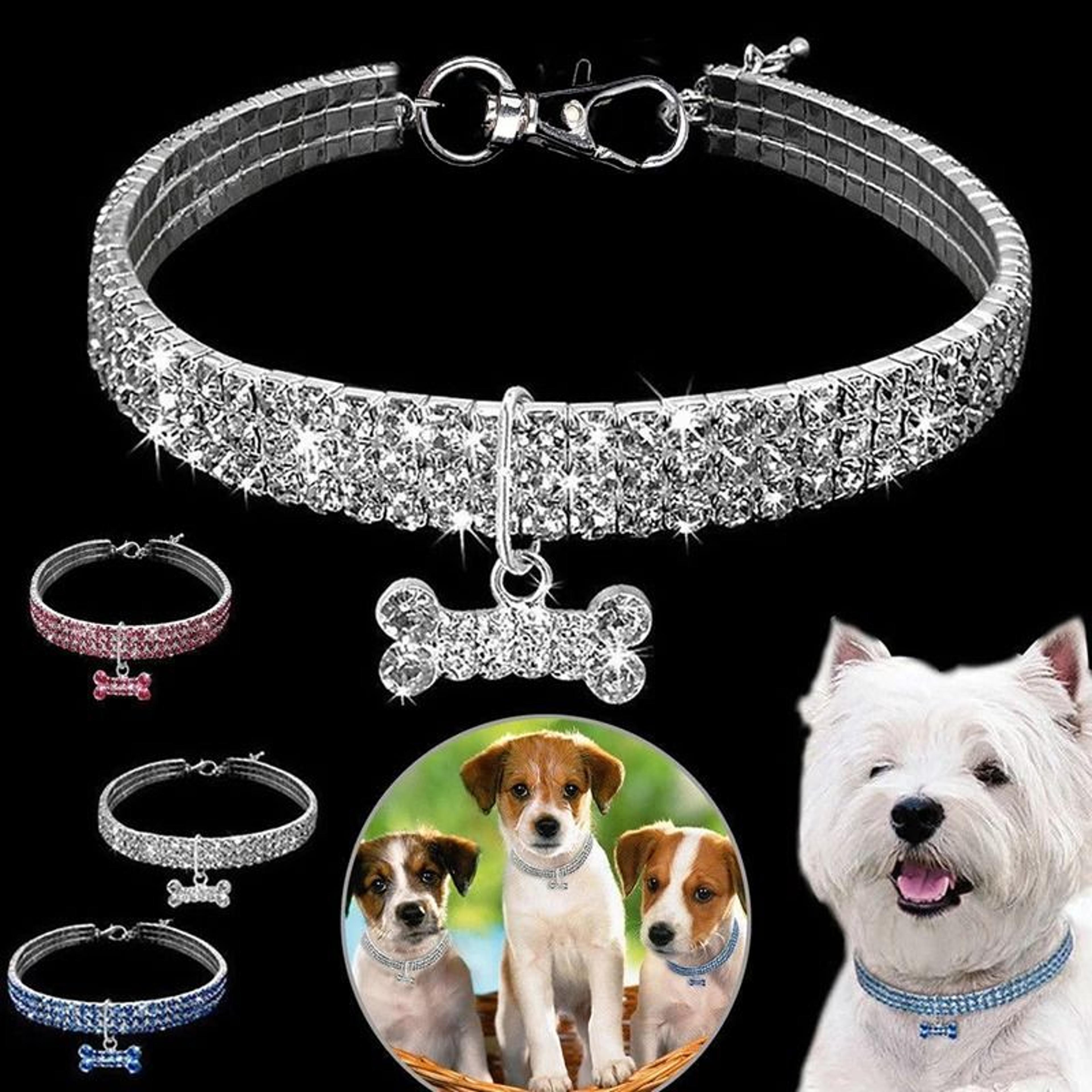 luxury rhinestone dog collar with engraved name tag | adjustable crystal puppy collar for small dogs