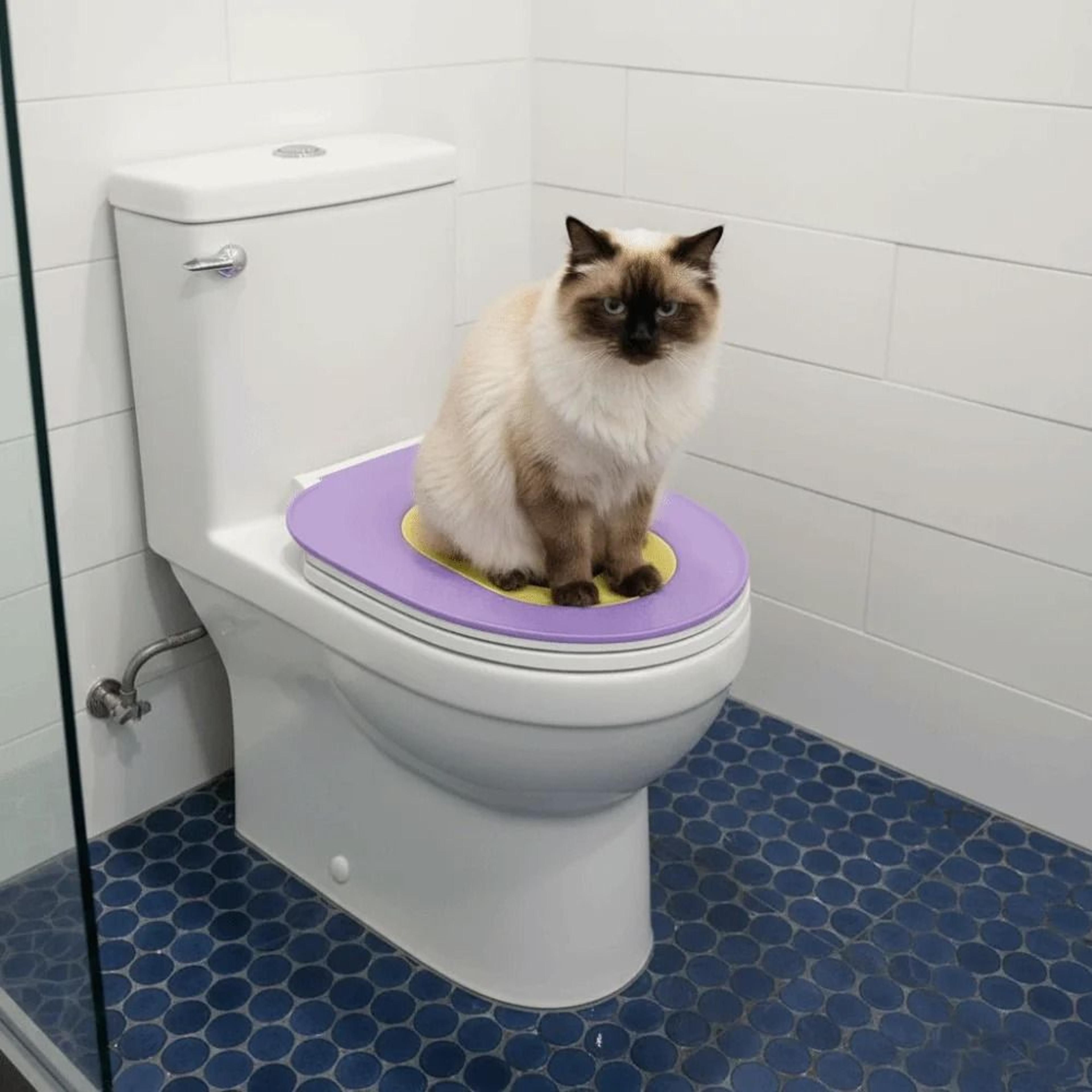 Portable Pet Toilet Trainer  Travel Litter Box  Washable Non Slip Reusable Potty Tray For Cats  Sma 2