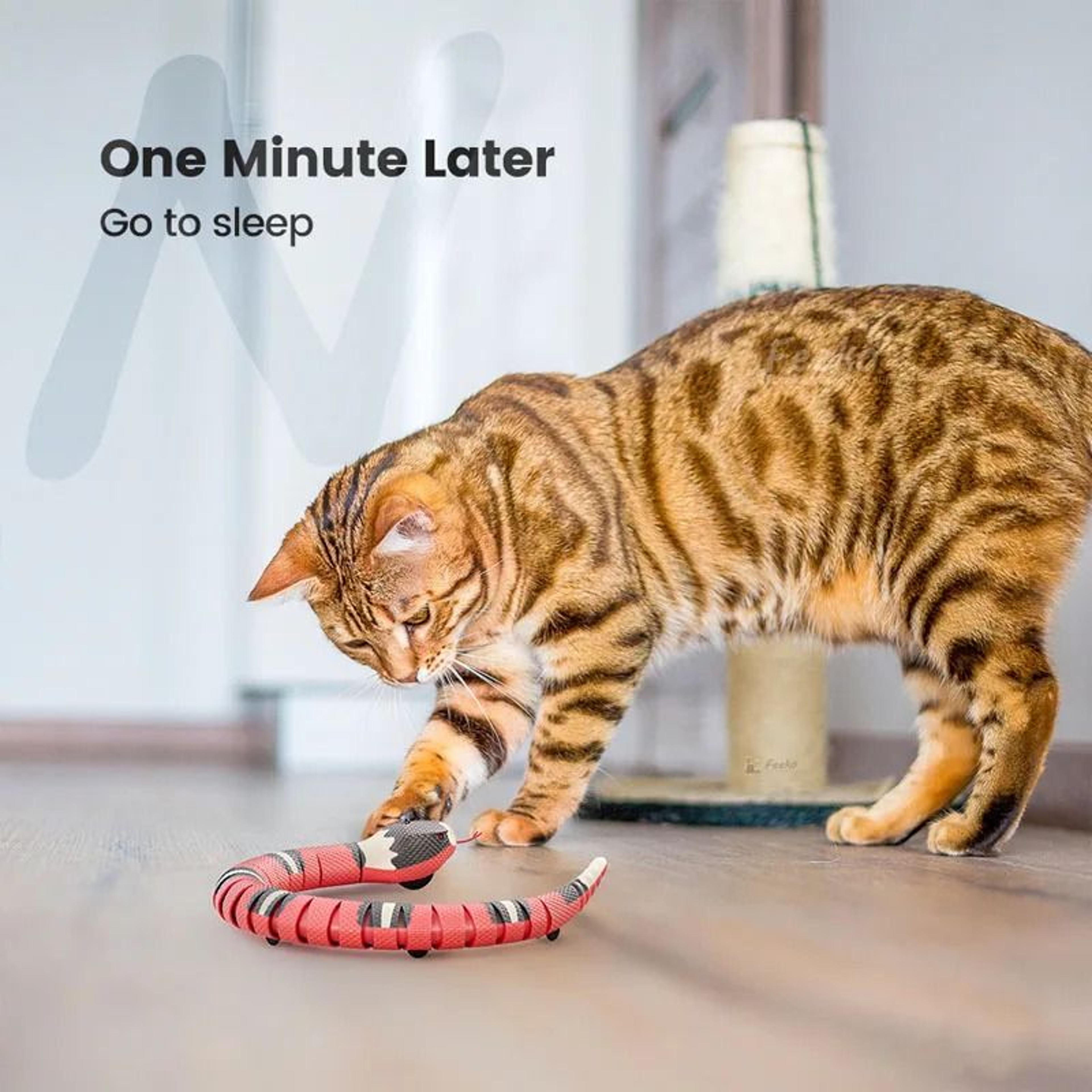 USB Rechargeable Smart Sensing Snake Toy For Cats  Dogs 6