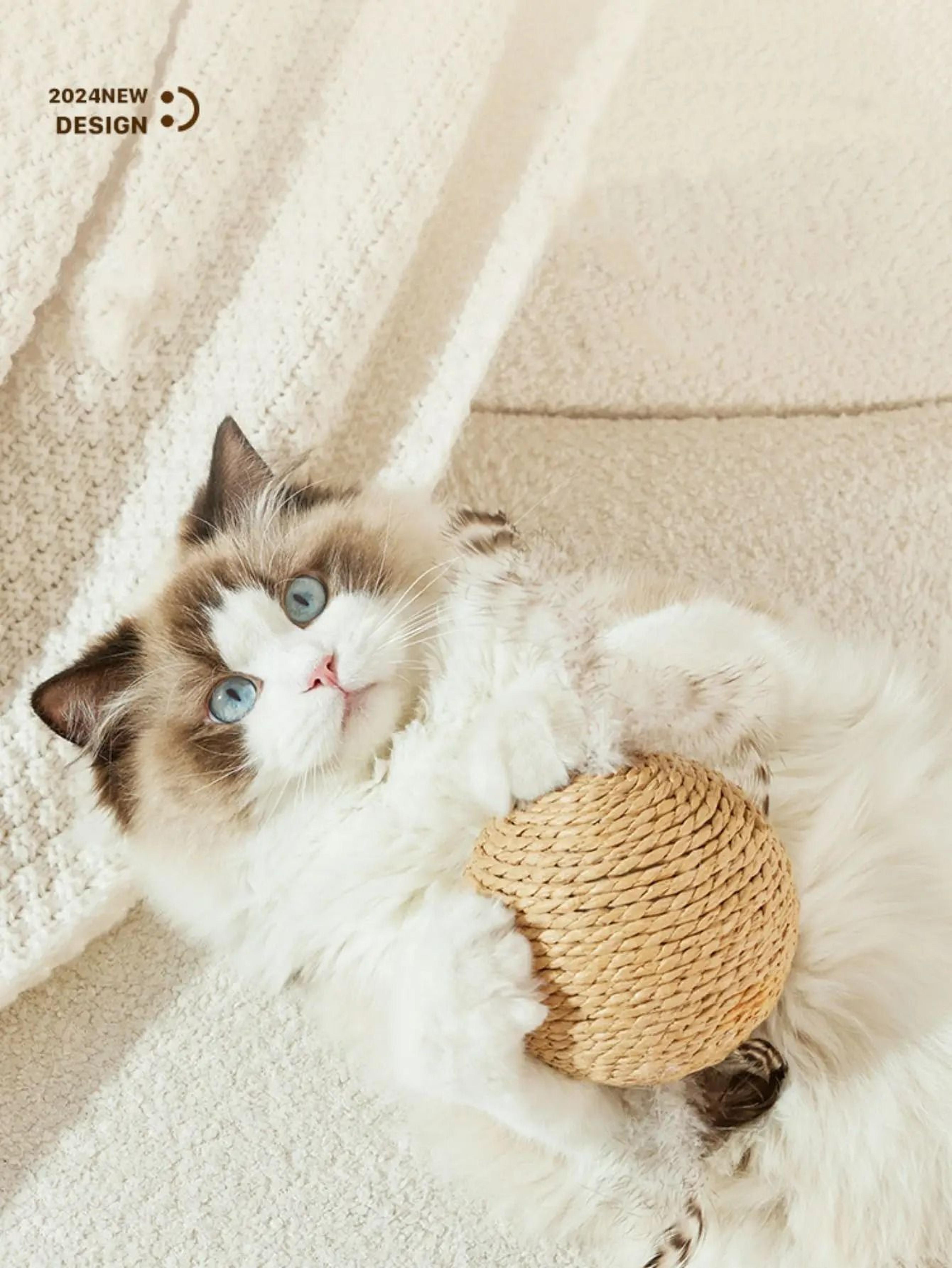 Interactive Sisal Cat Scratching Ball For Dental Care  Play 2