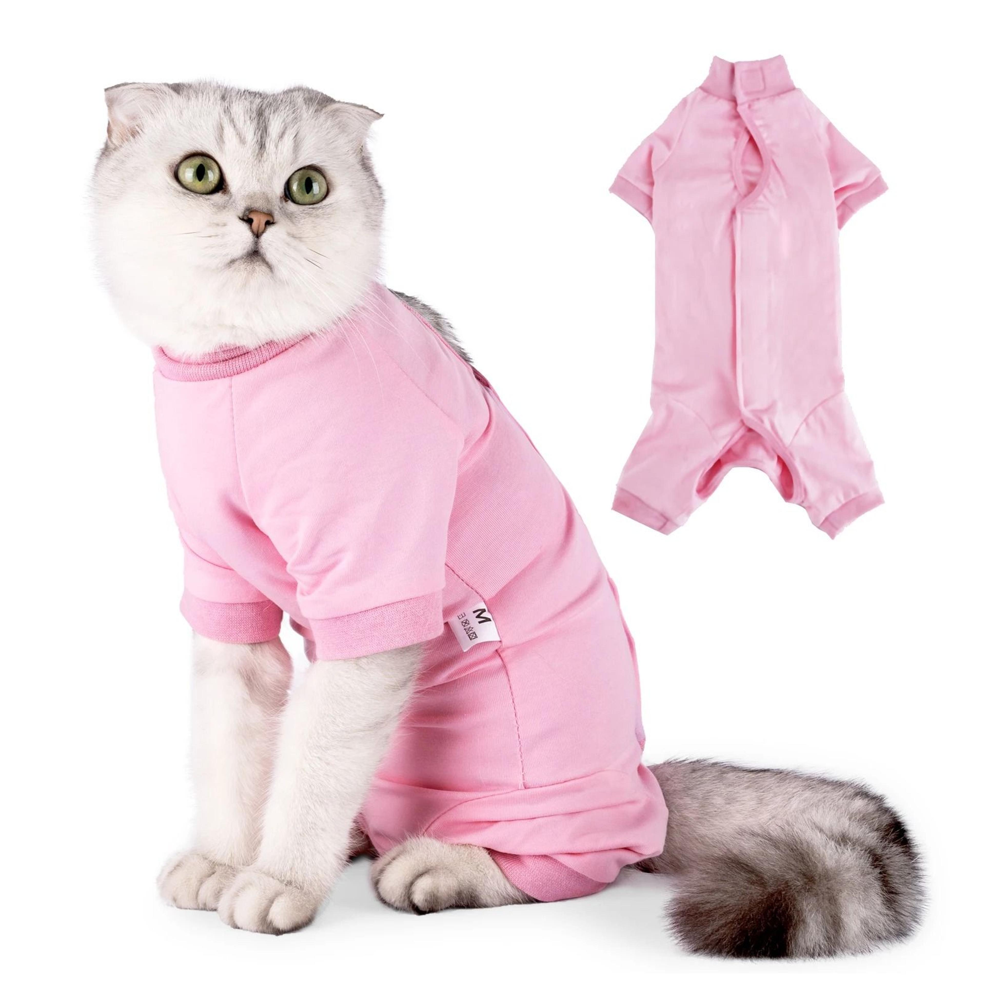 comfortguard cat recovery suit for post-surgery healing & anti-licking protection