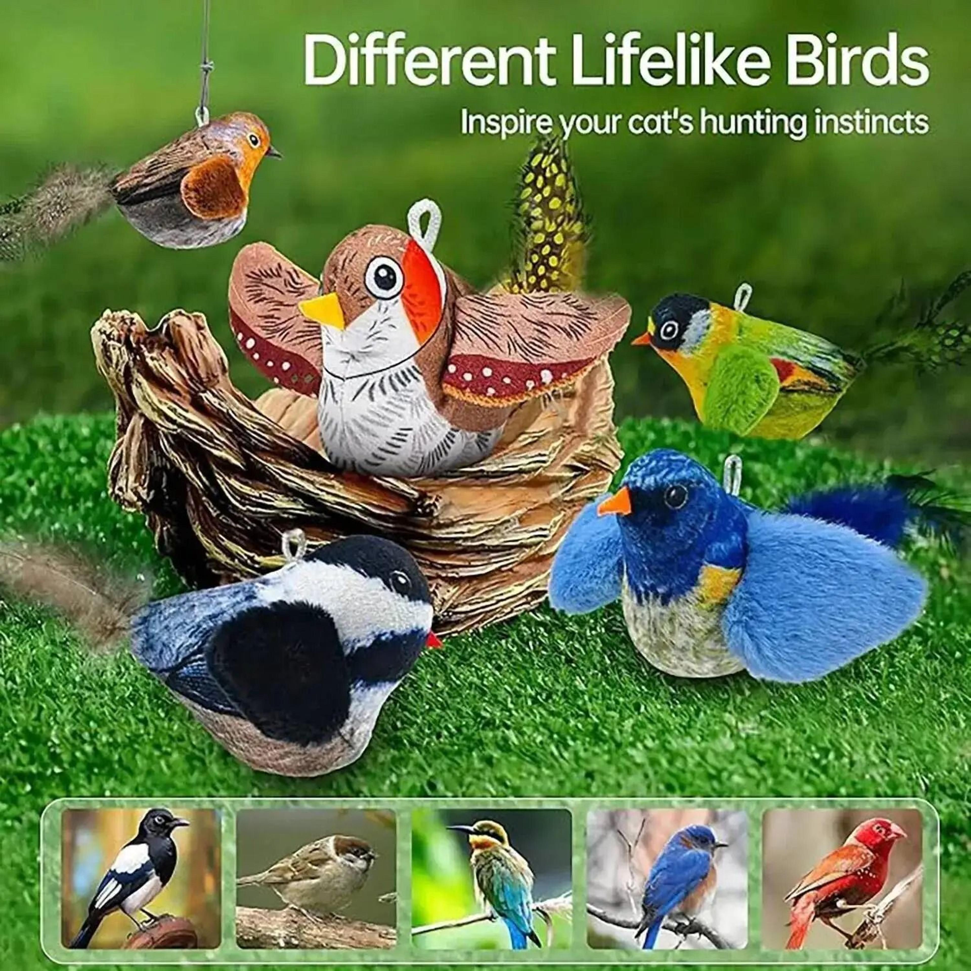 Interactive Bird Cat Toy With Sound  Catnip  Wall Hanging Chasing Toy For Indoor Cats 4