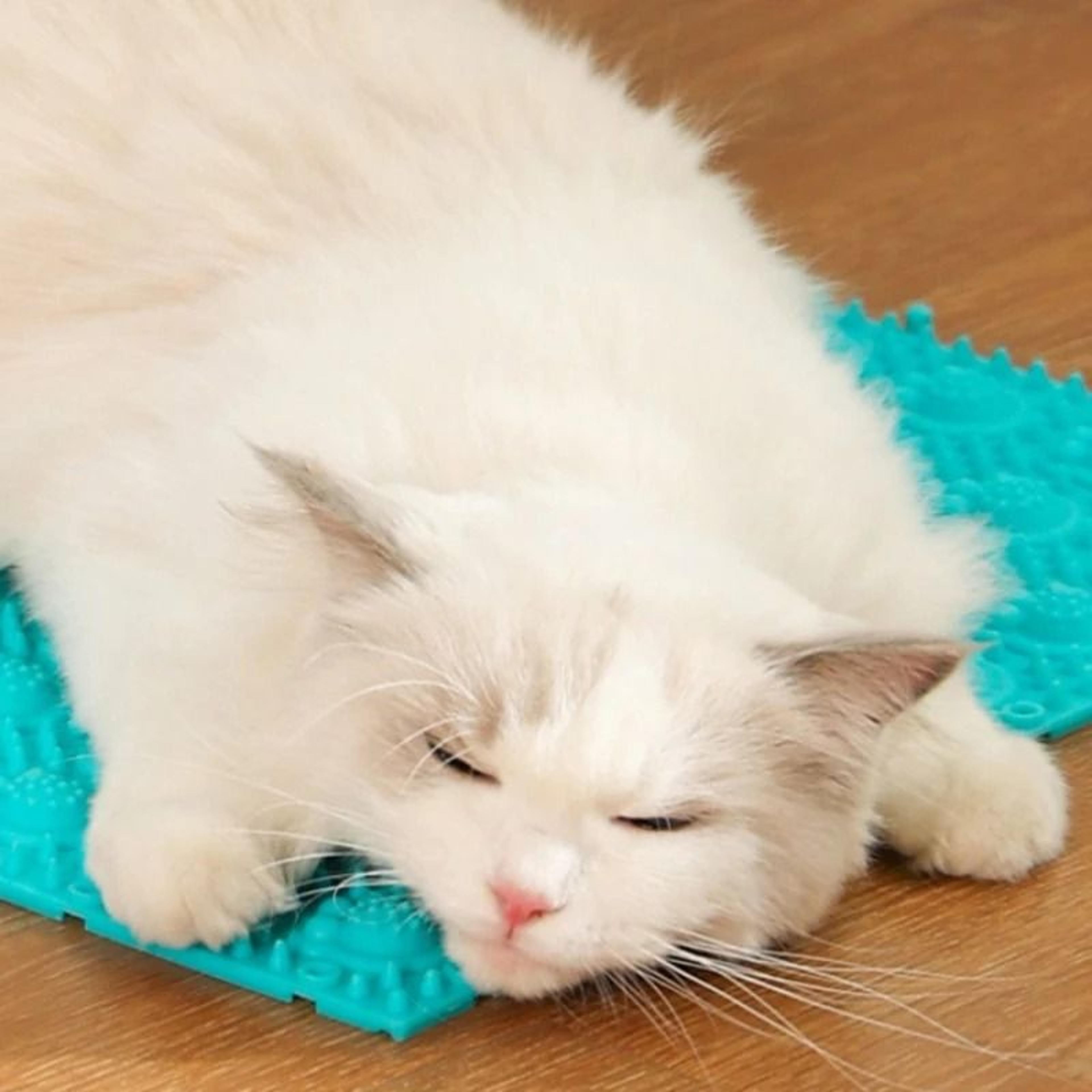 SelfCleaning Cat Grooming Massage Comb For Hair Removal  Gentle Fur Care 3